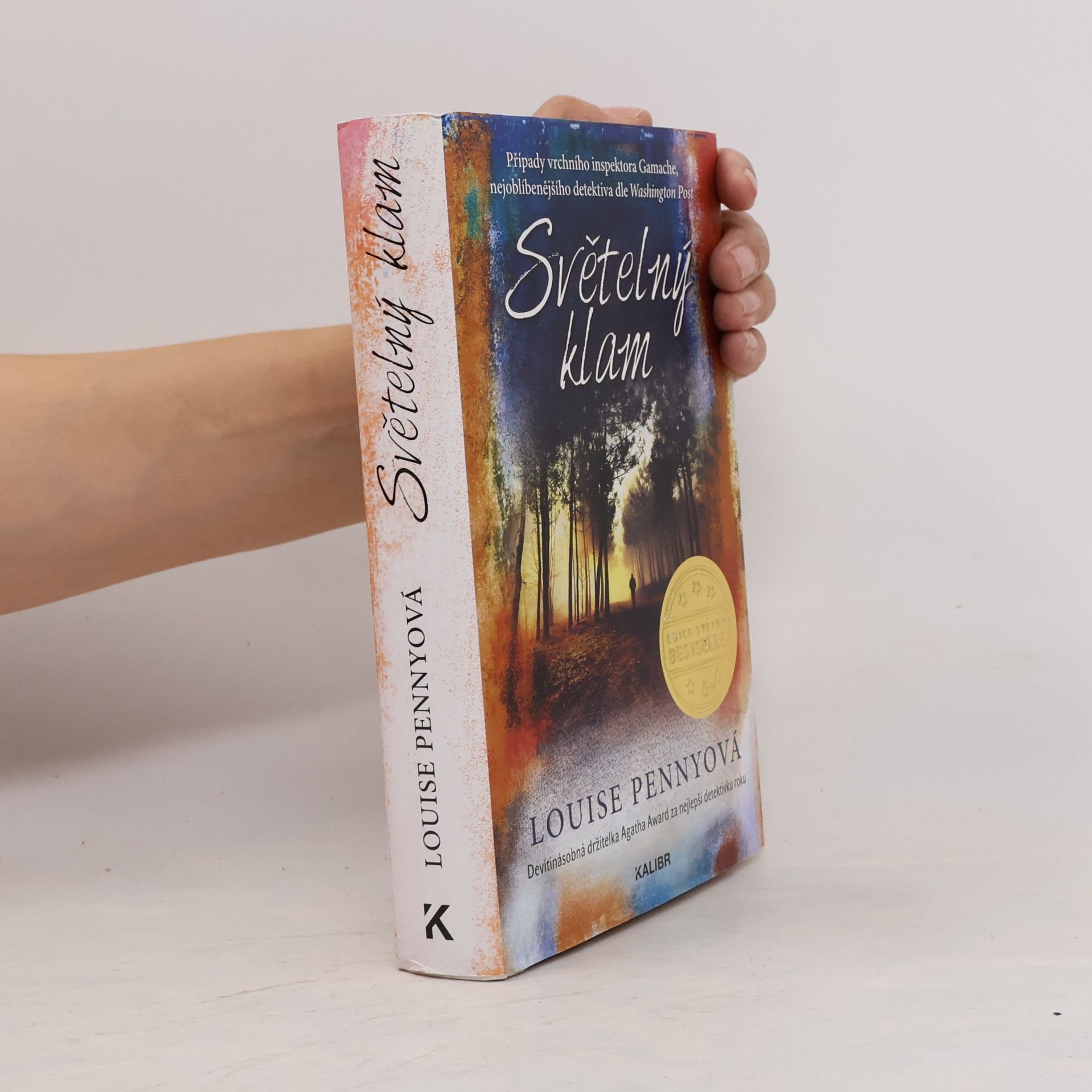 Louise Penny Světelný klam