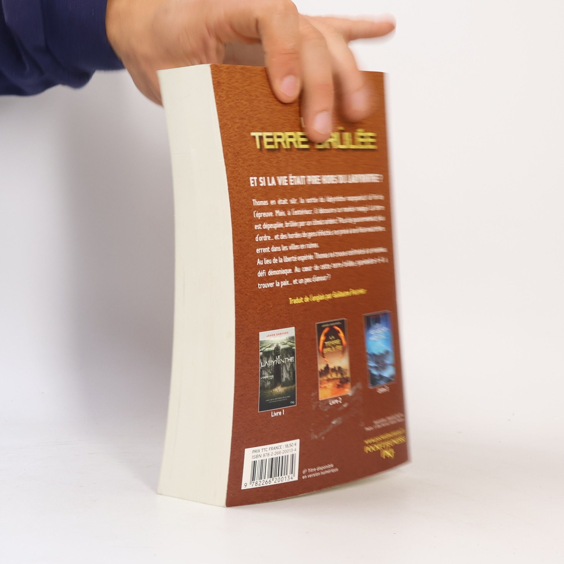 James Dashner La terre brûlée