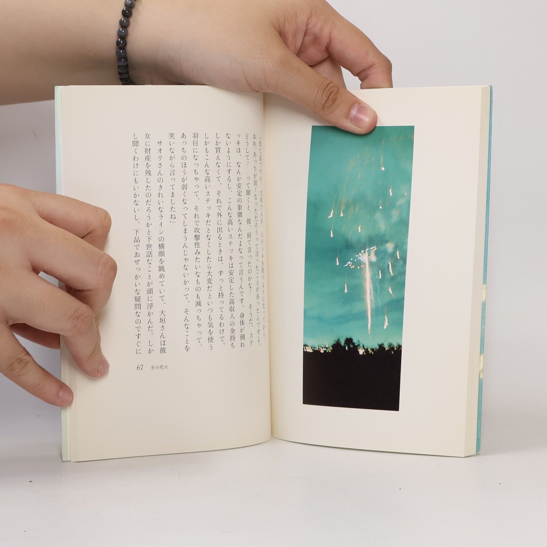 Ryū Murakami 美しい時間. 冬の花火