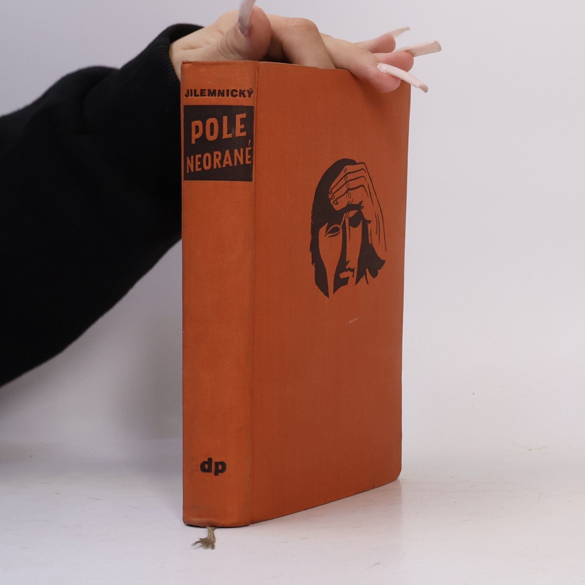 Peter Jilemnický Pole neorané