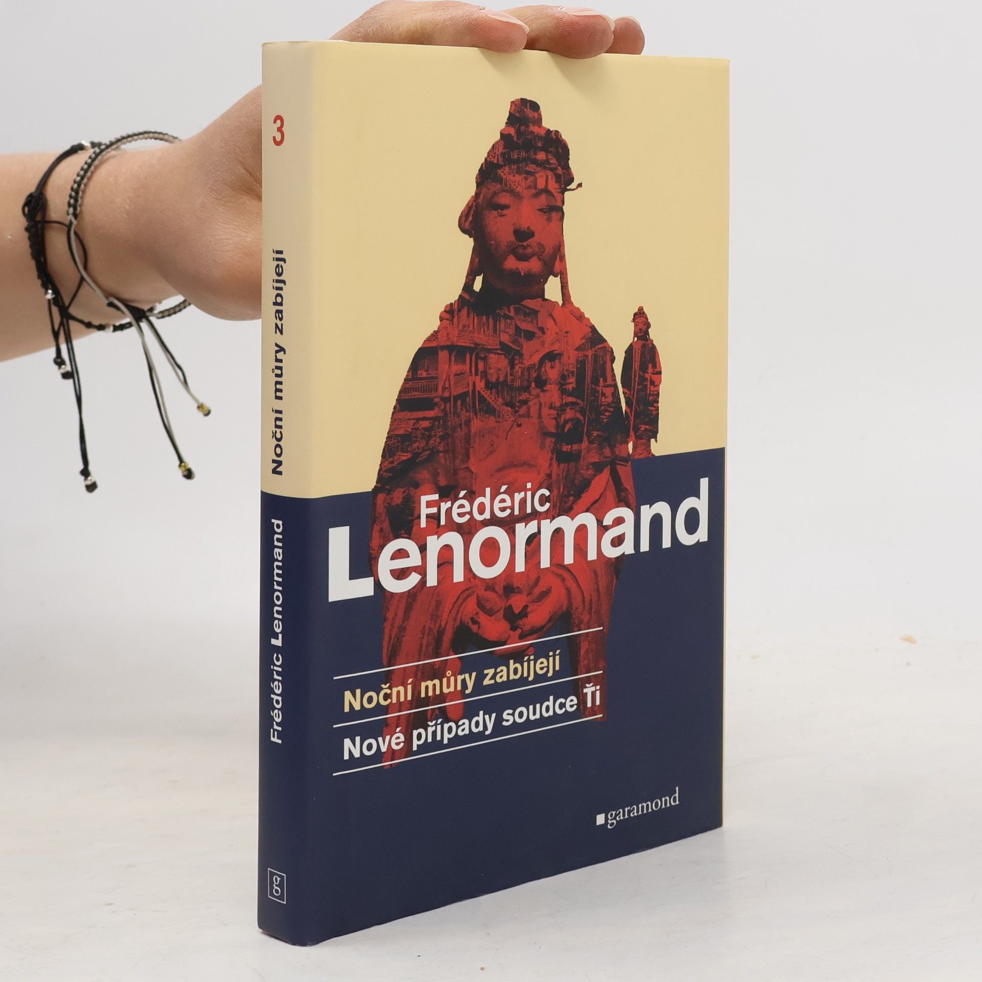 Frédéric Lenormand Noční můry zabíjejí. Nové případy soudce Ťi