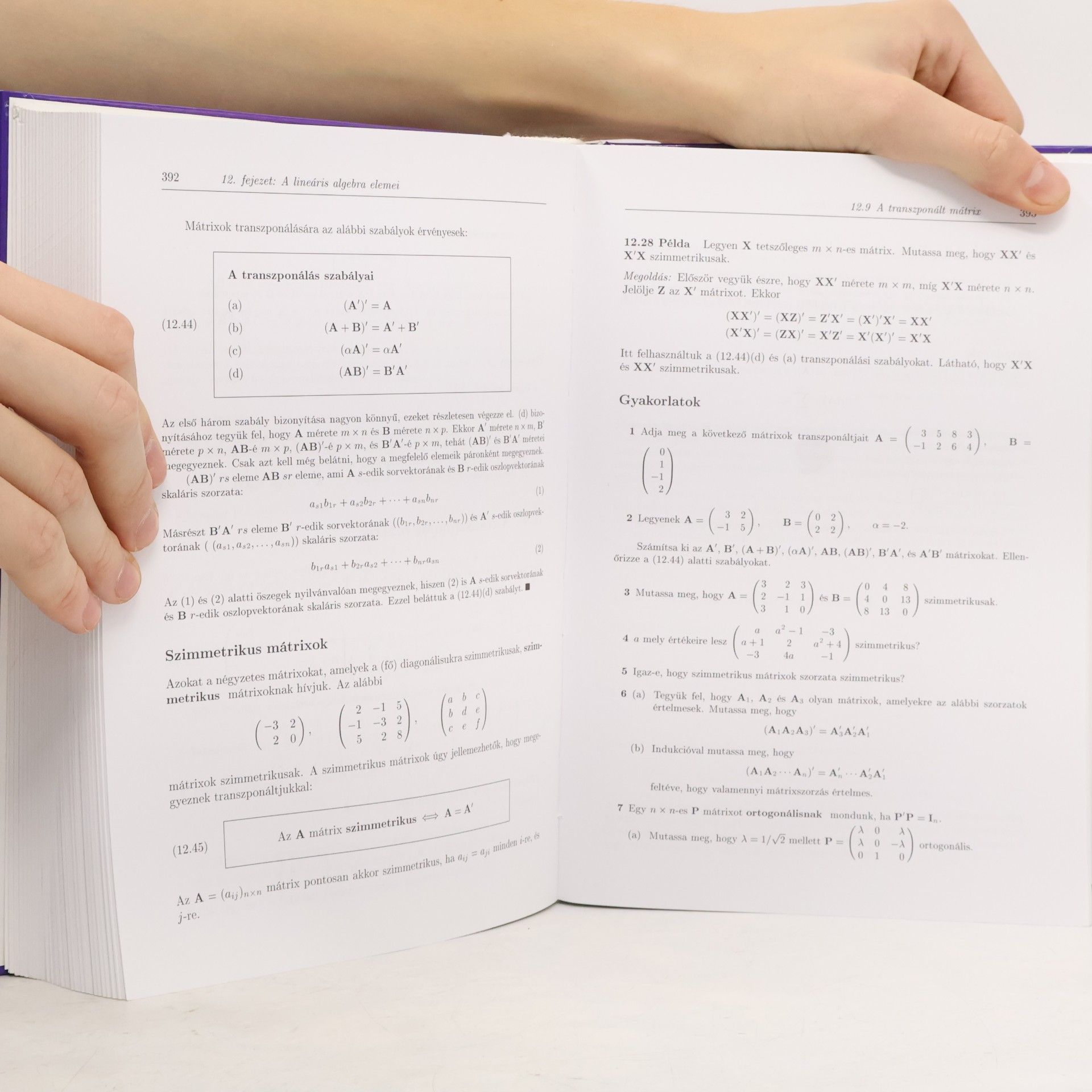 Sydsæter-Hammond Matematika közgazdászoknak