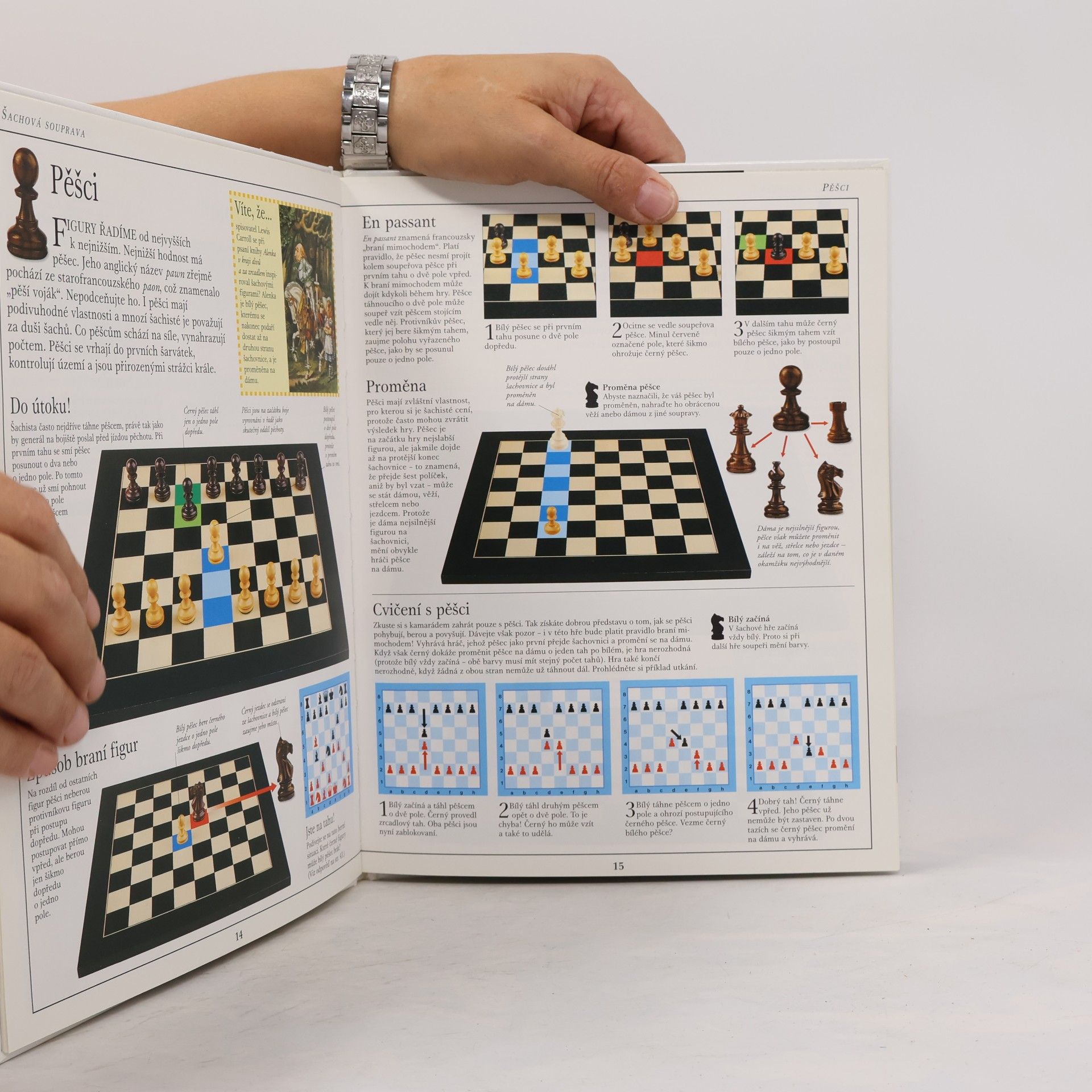 Michael Basman Šachy