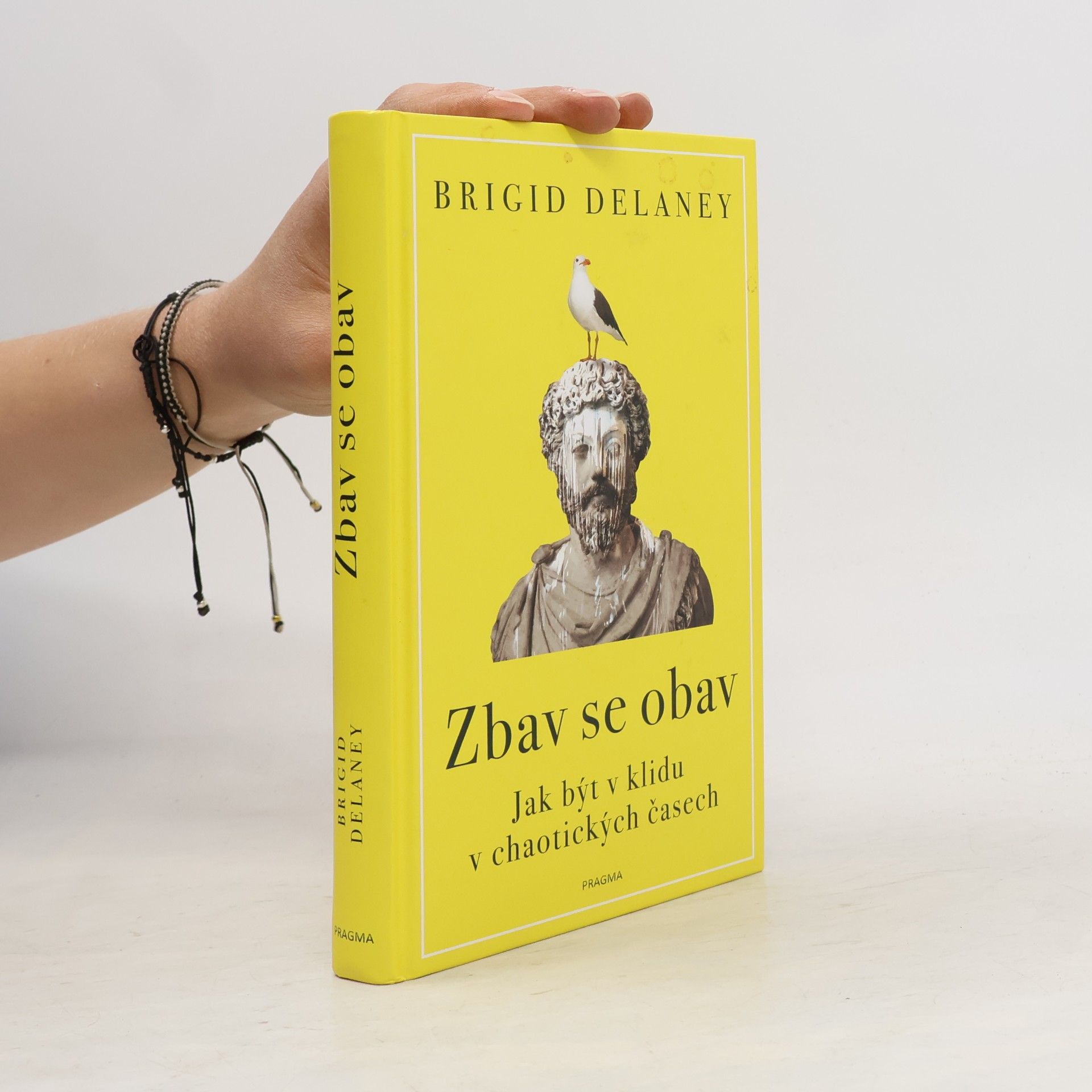 Brigid Delaney Zbav se obav. Jak být v klidu v chaotických časech