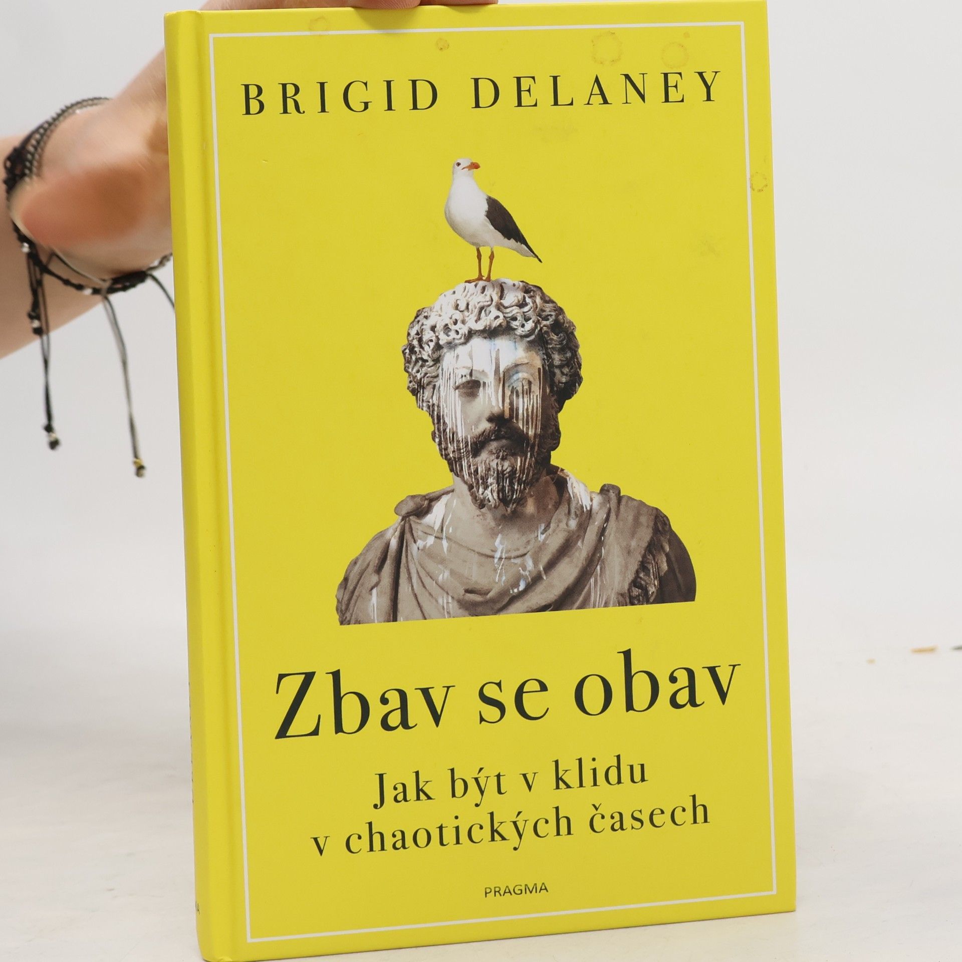 Brigid Delaney Zbav se obav. Jak být v klidu v chaotických časech
