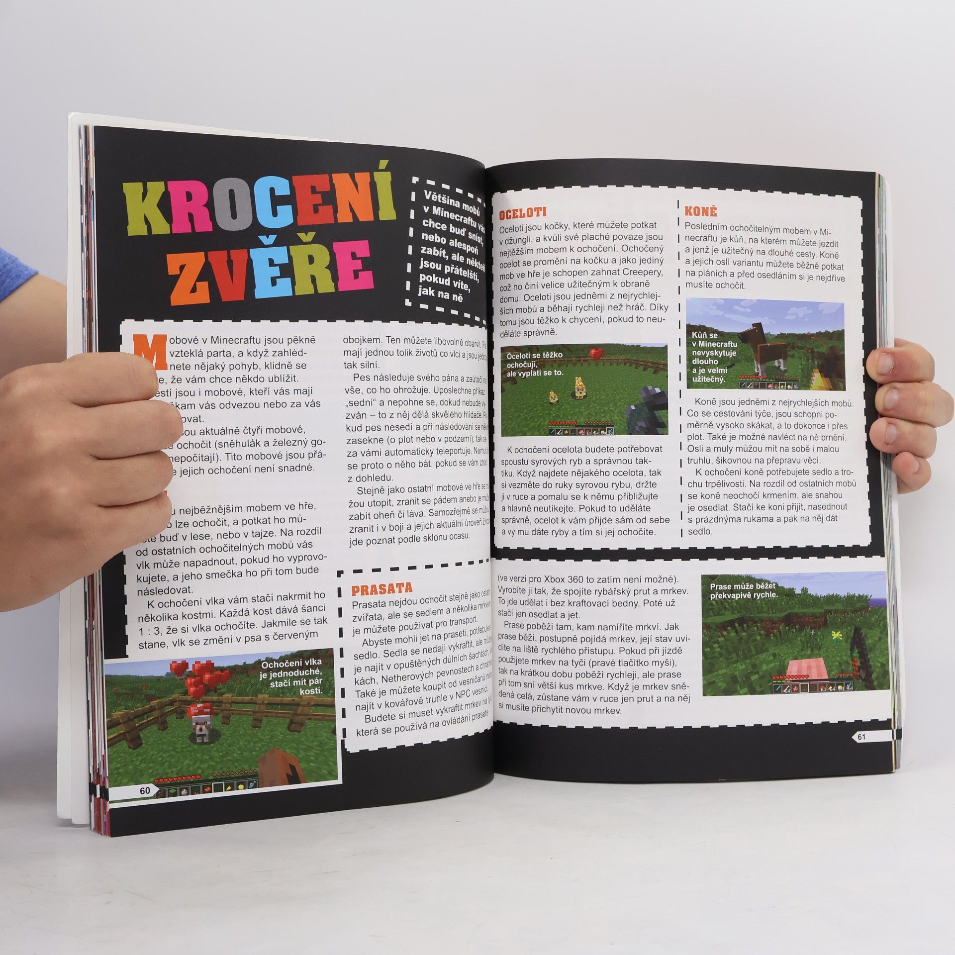 Jakub Kříž Minecraft: Staň se mistrem!
