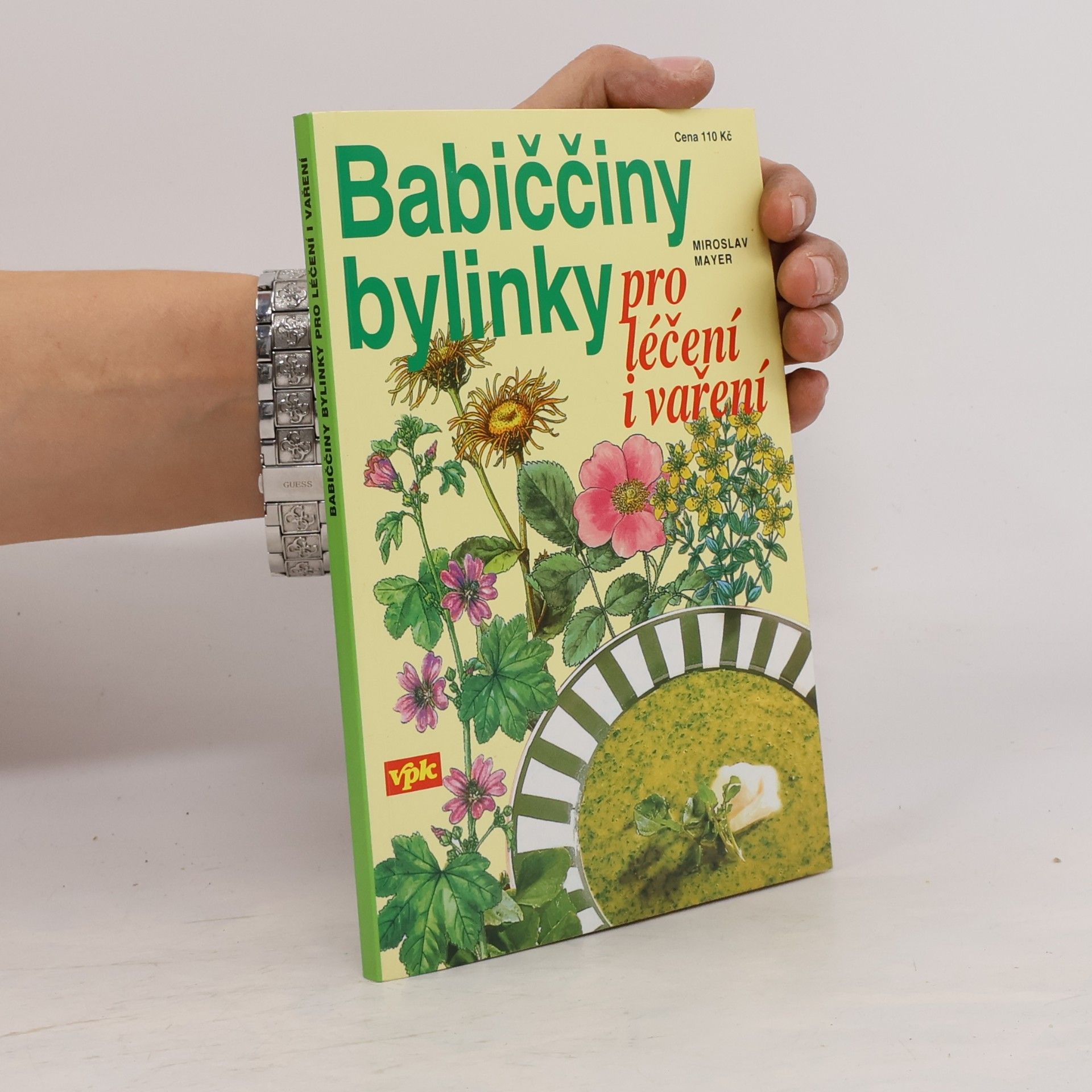 Miroslav Mayer Babiččiny bylinky pro léčení i vaření