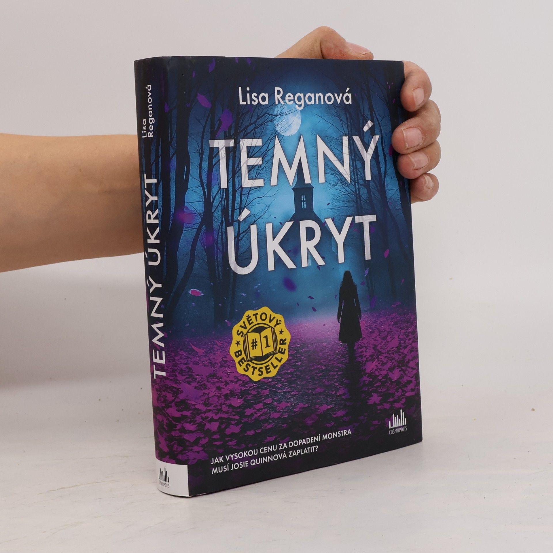 Lisa Regan Temný úkryt