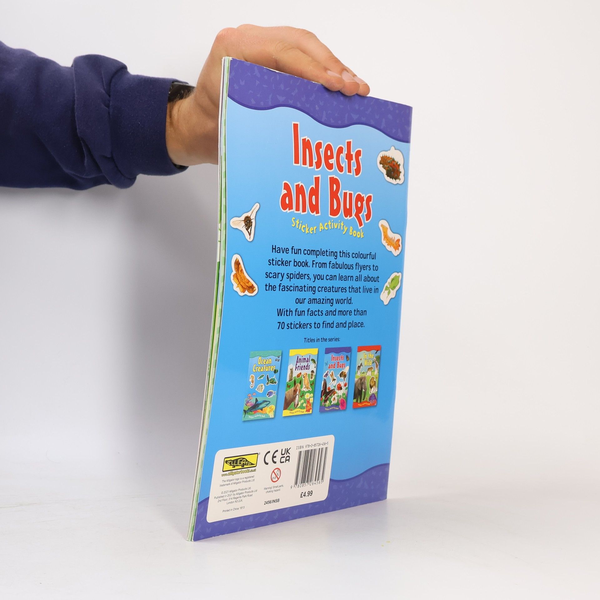 Insects And Bugs Sticker Activity Book With Over 70 Reusable Stickers