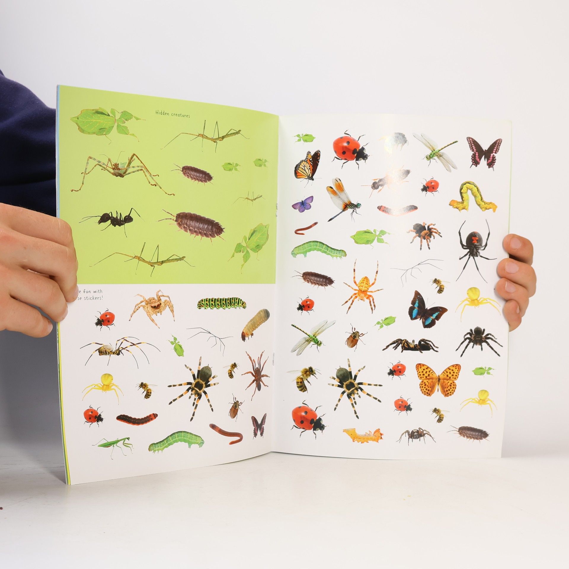 Insects And Bugs Sticker Activity Book With Over 70 Reusable Stickers