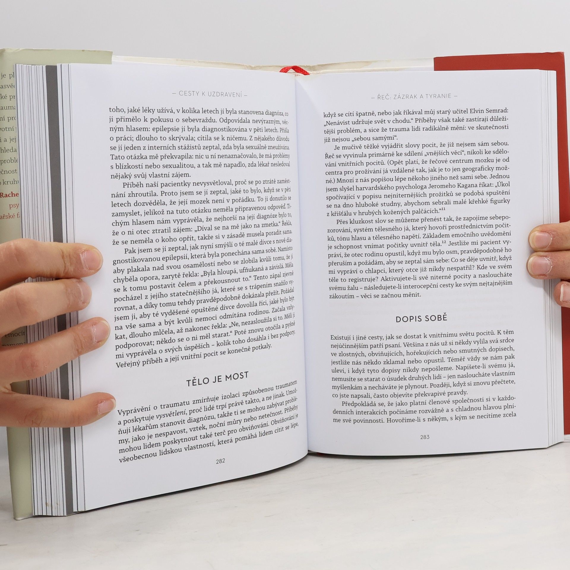 Bessel van der Kolk Tělo sčítá rány
