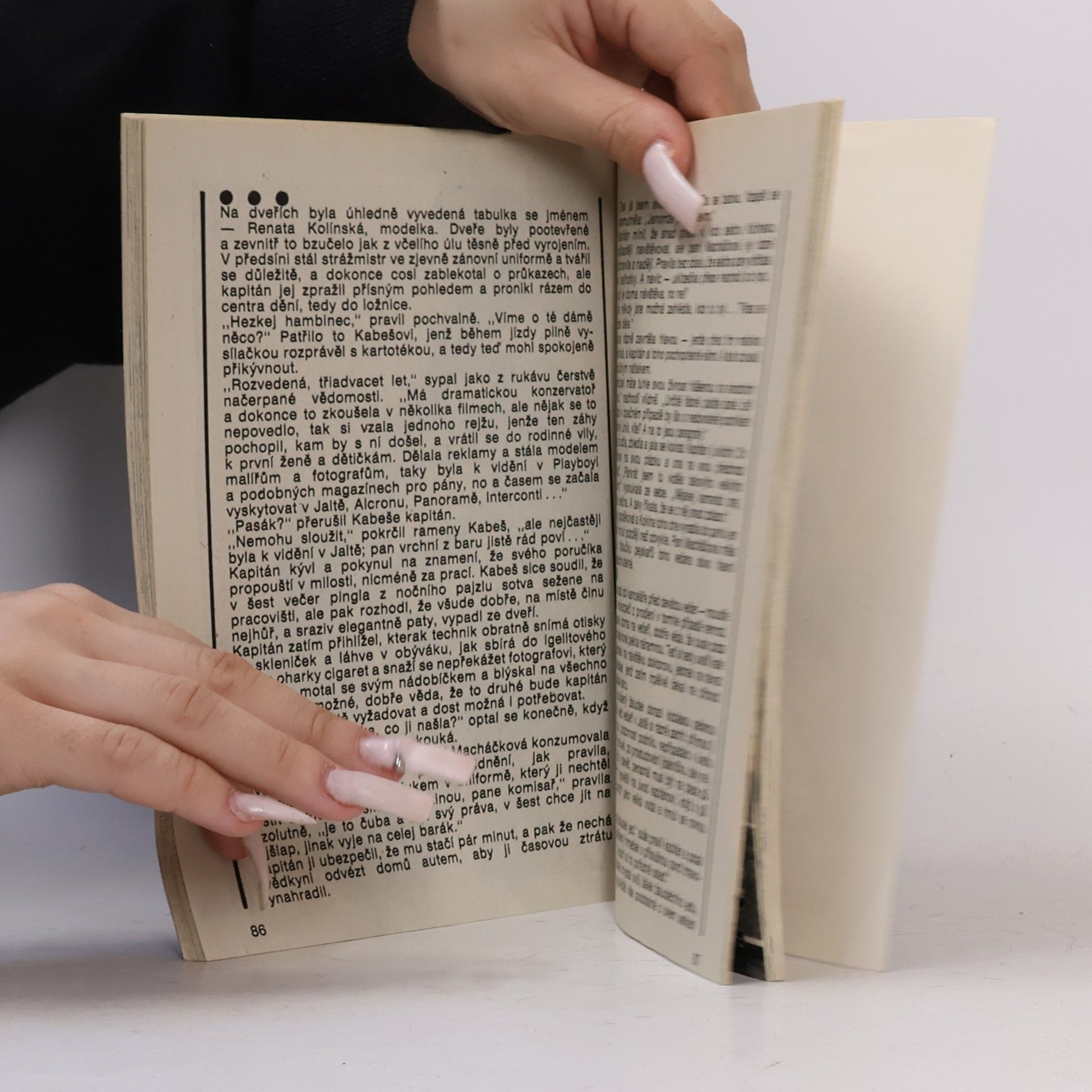 Autorenkollektiv Pomsta porcelánového Buddhy a další příběhy z archívů kriminální služby