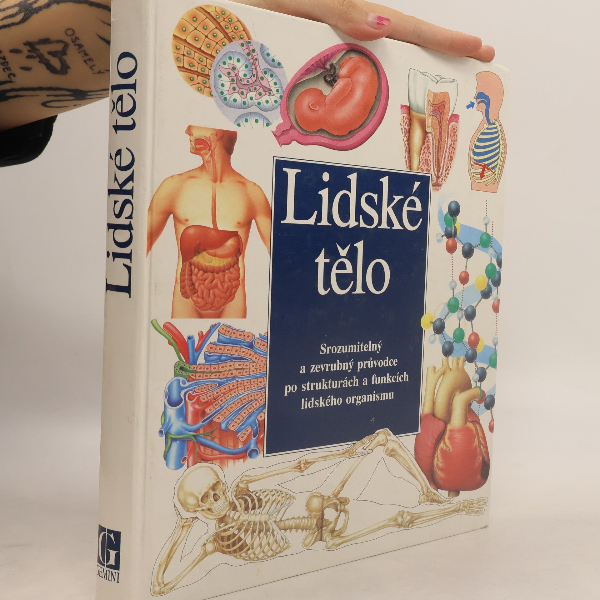 Lidské tělo