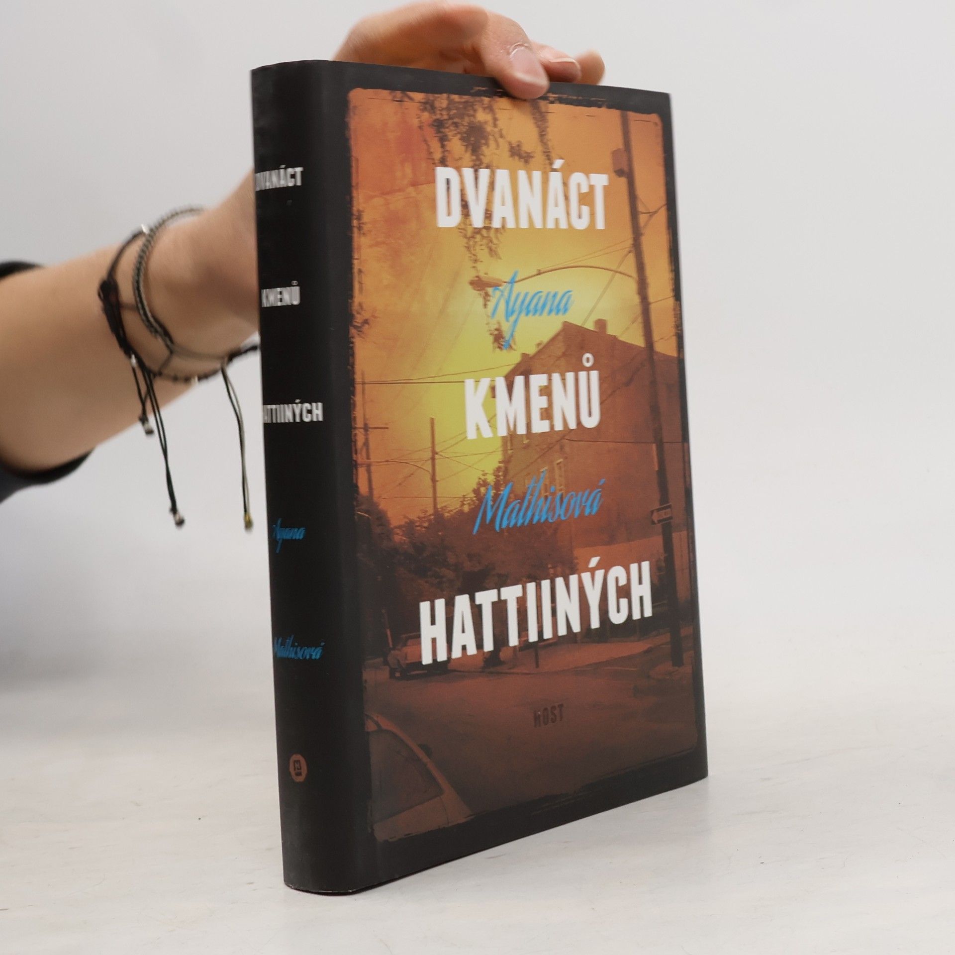 Ayana Mathis Dvanáct kmenů Hattiiných