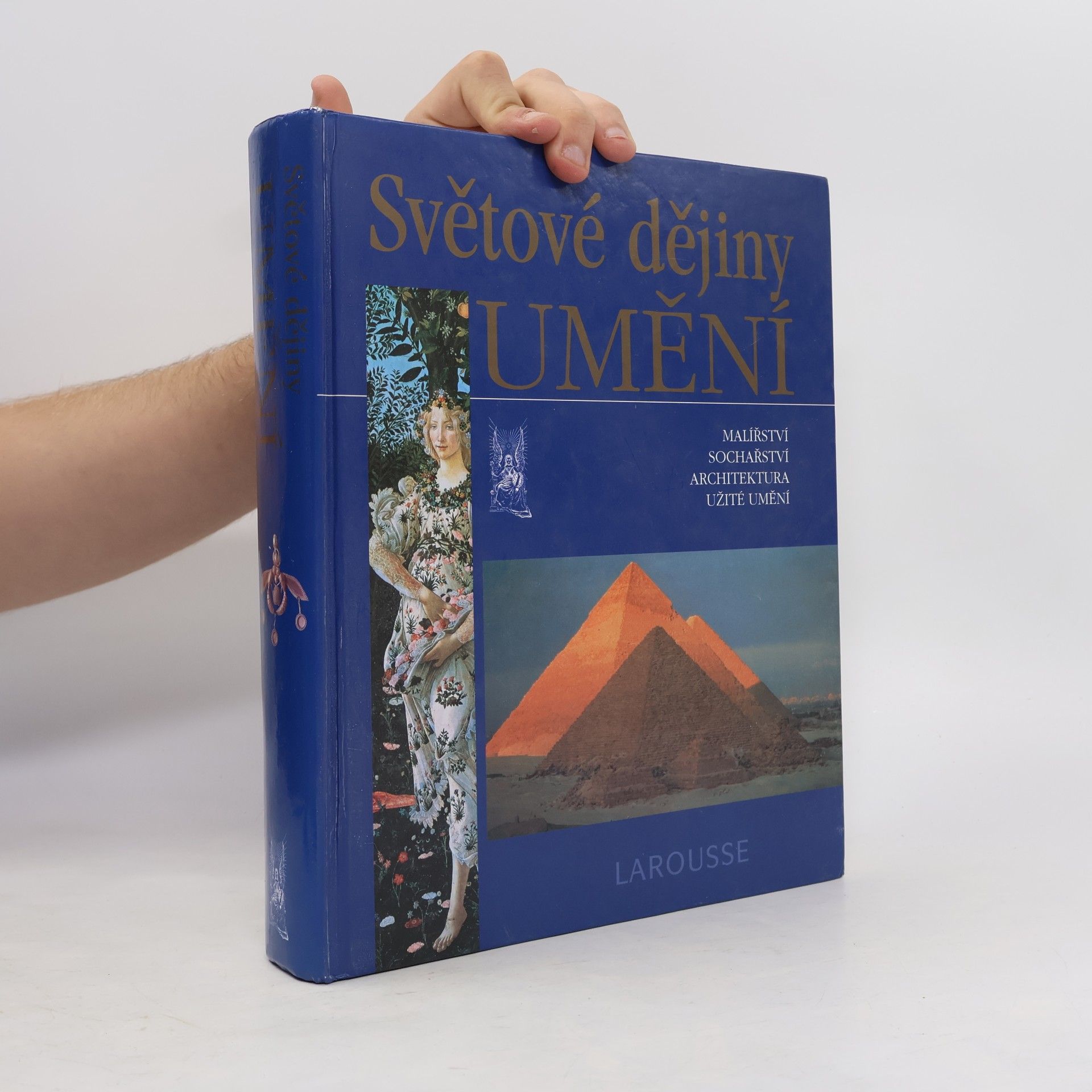 Albert Châtelet Světové dějiny umění : malířství, sochařství, architektura, užité umění
