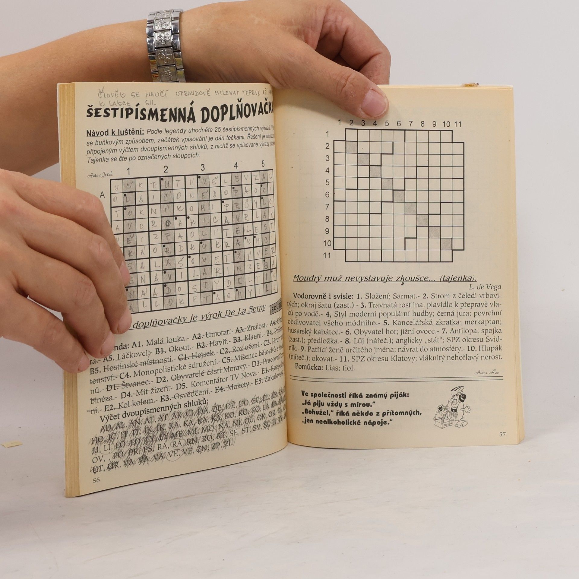 Various authors Křížovky na dovolenou