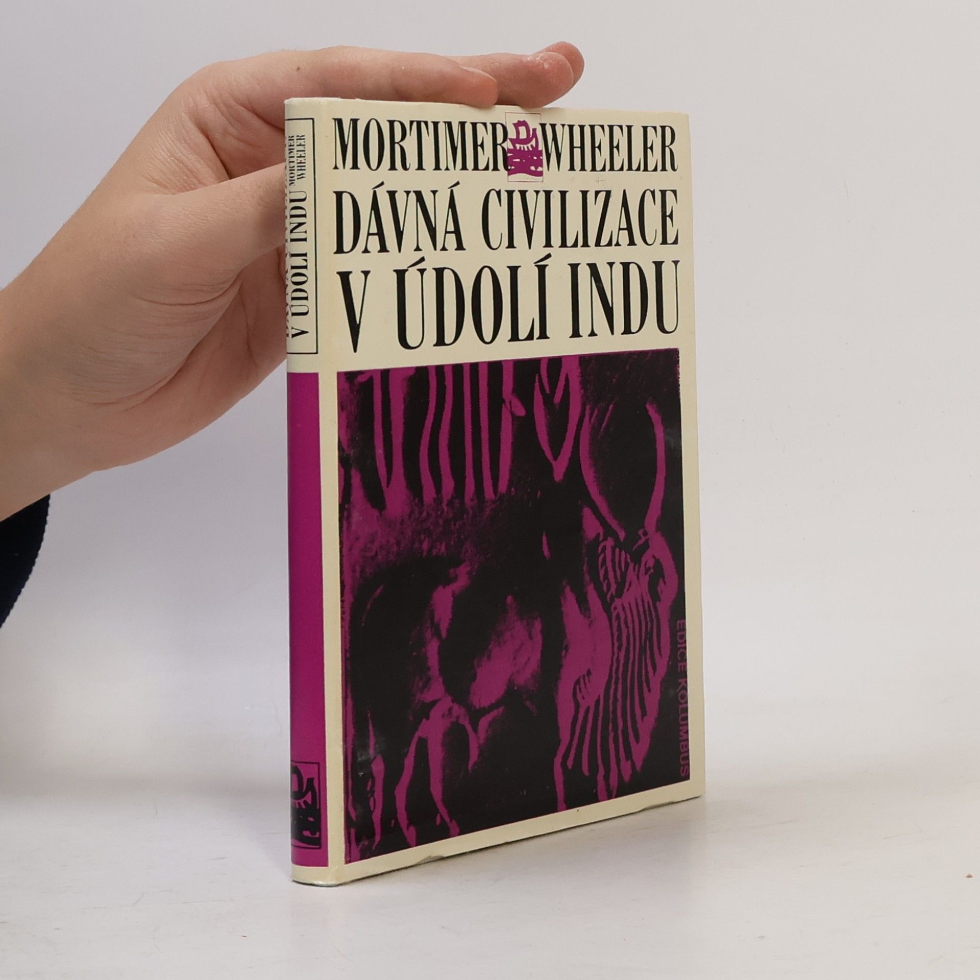 Jaroslav Vacek Dávná civilizace v údolí Indu