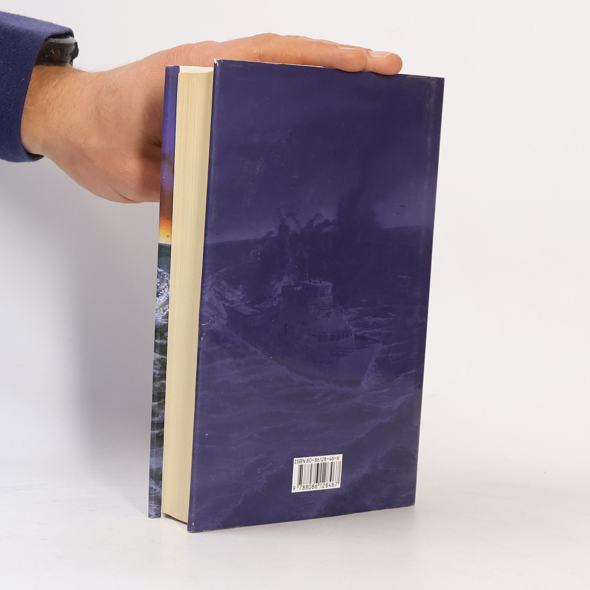 Robert Ludlum Bourneova totožnost