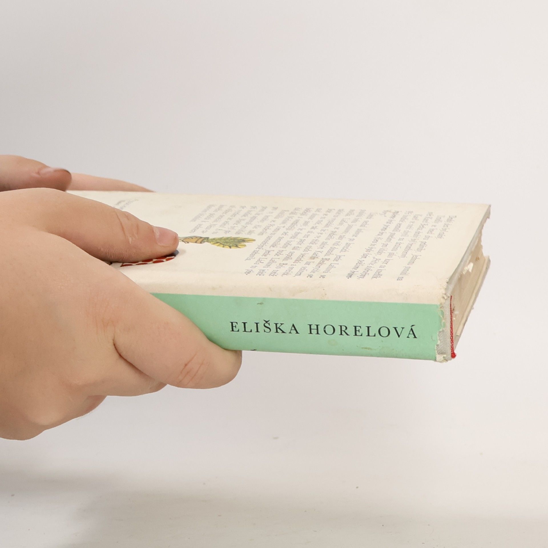 Horelová Eliška Stěhovaví ptáci