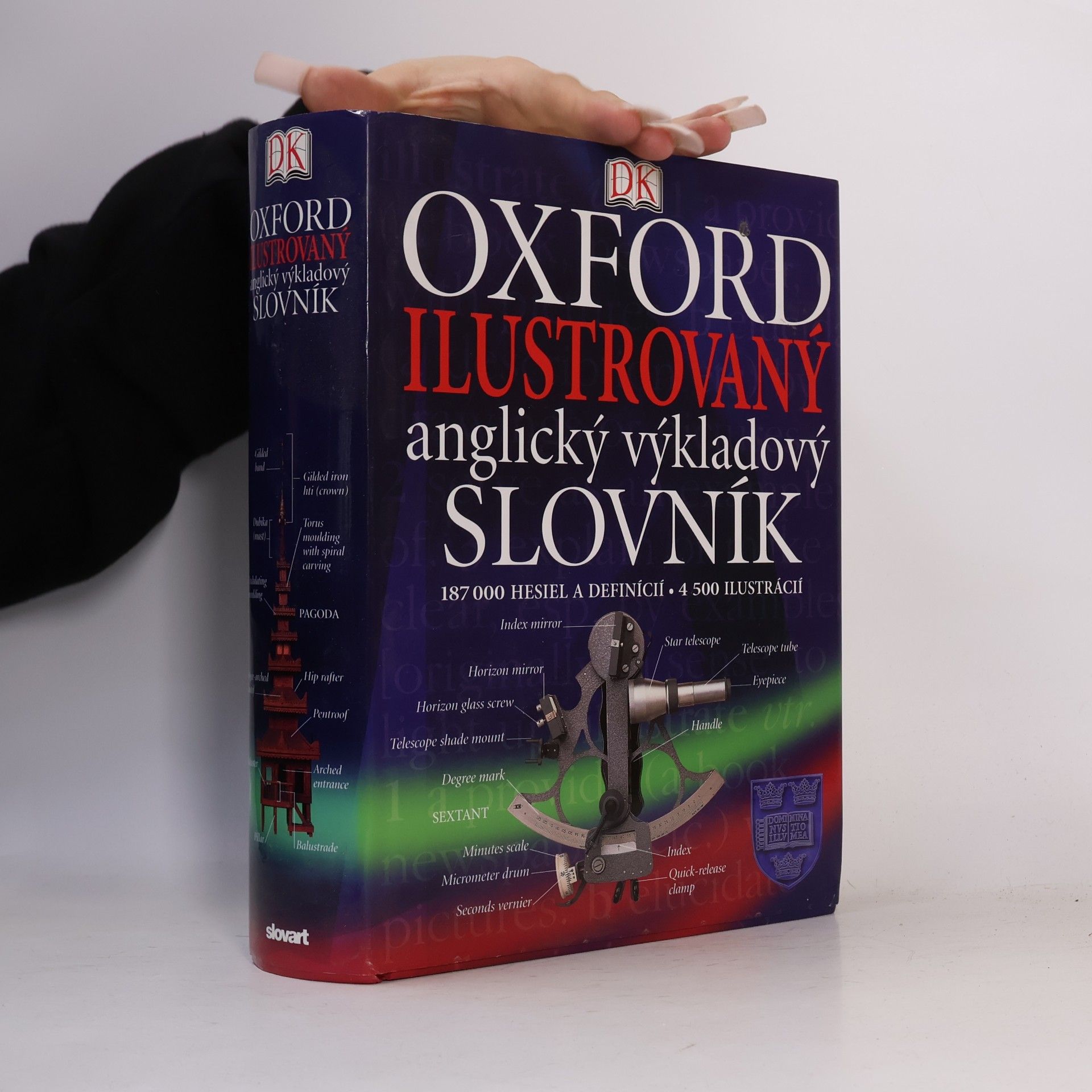 Autorenkollektiv Ilustrovaný anglický výkladový slovník