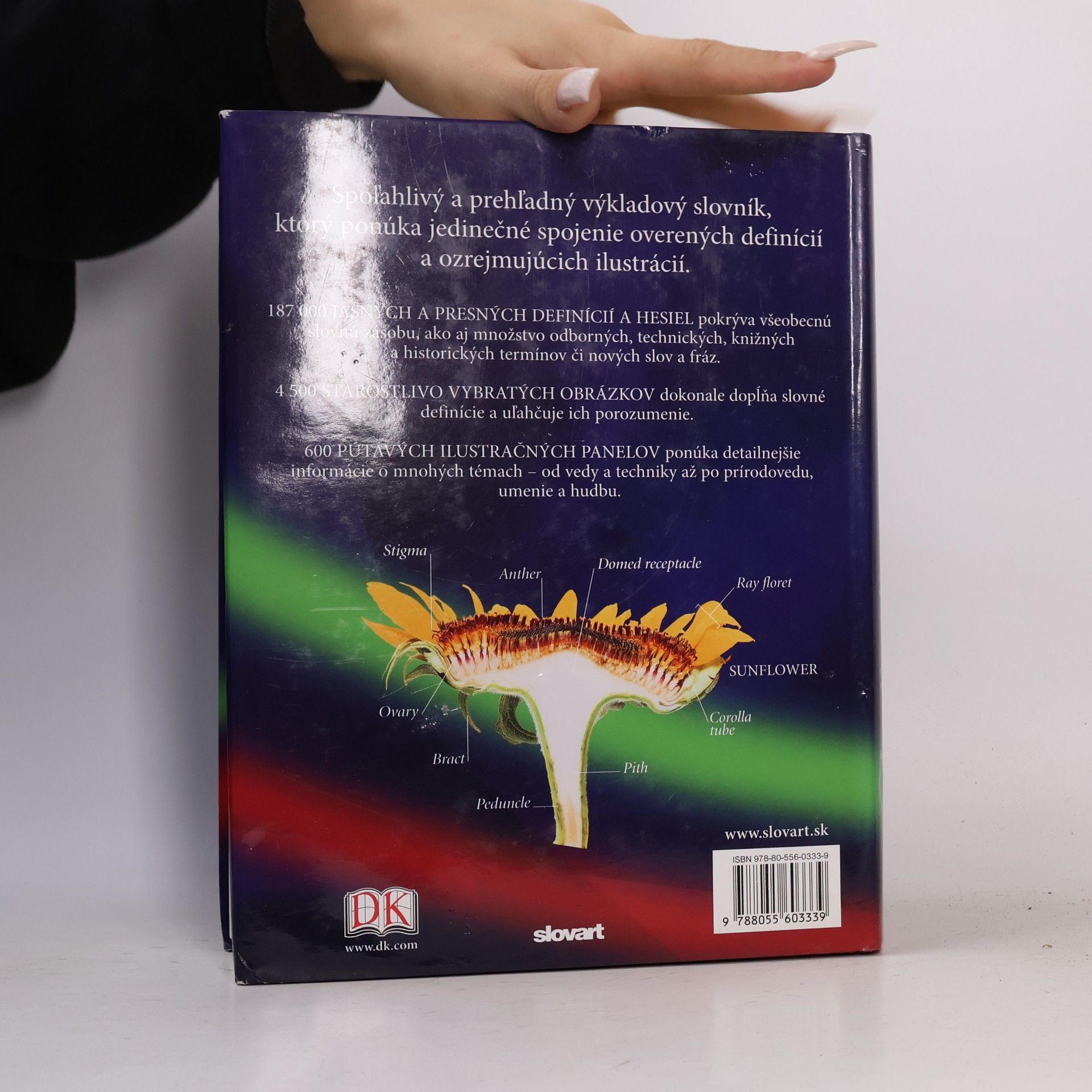 Autorenkollektiv Ilustrovaný anglický výkladový slovník