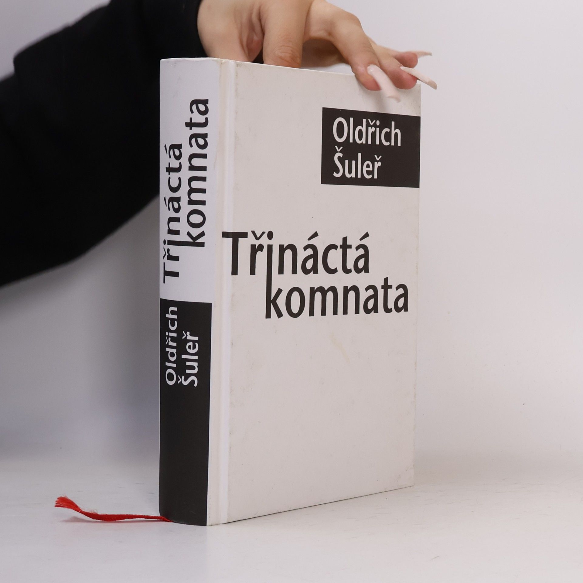 Oldřich Šuleř Třináctá komnata