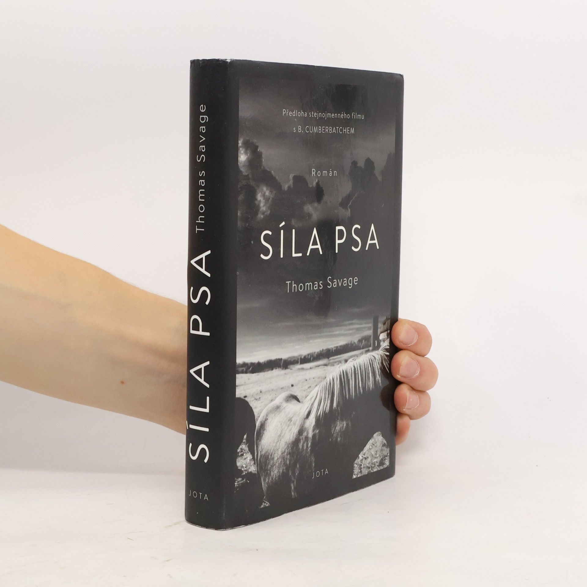 Thomas Savage Síla psa