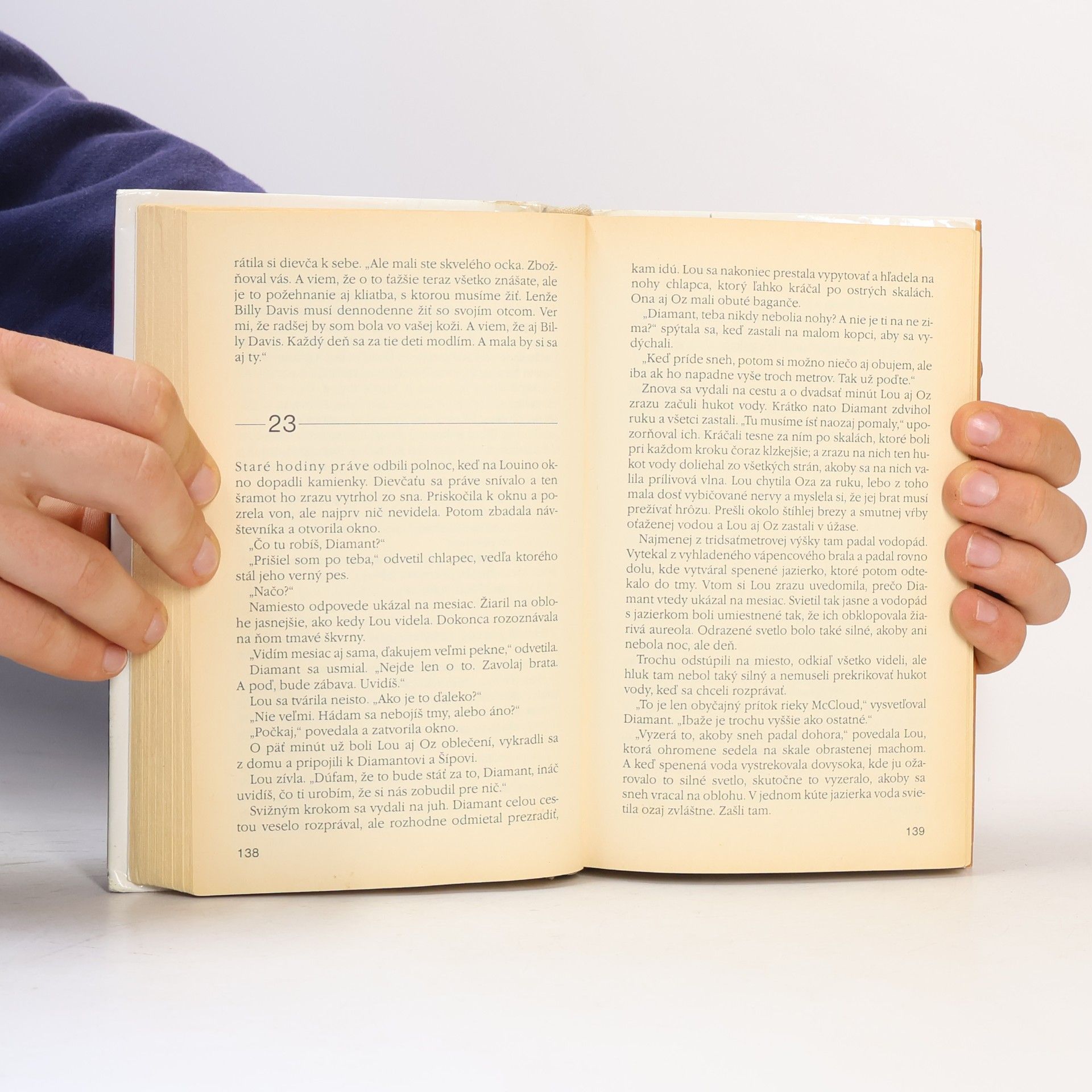 David Baldacci Studňa želaní