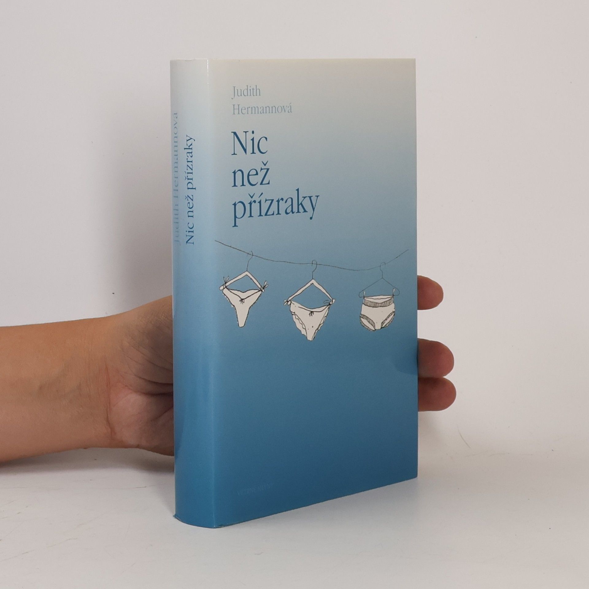 Judith Hermann Nic než přízraky : povídky