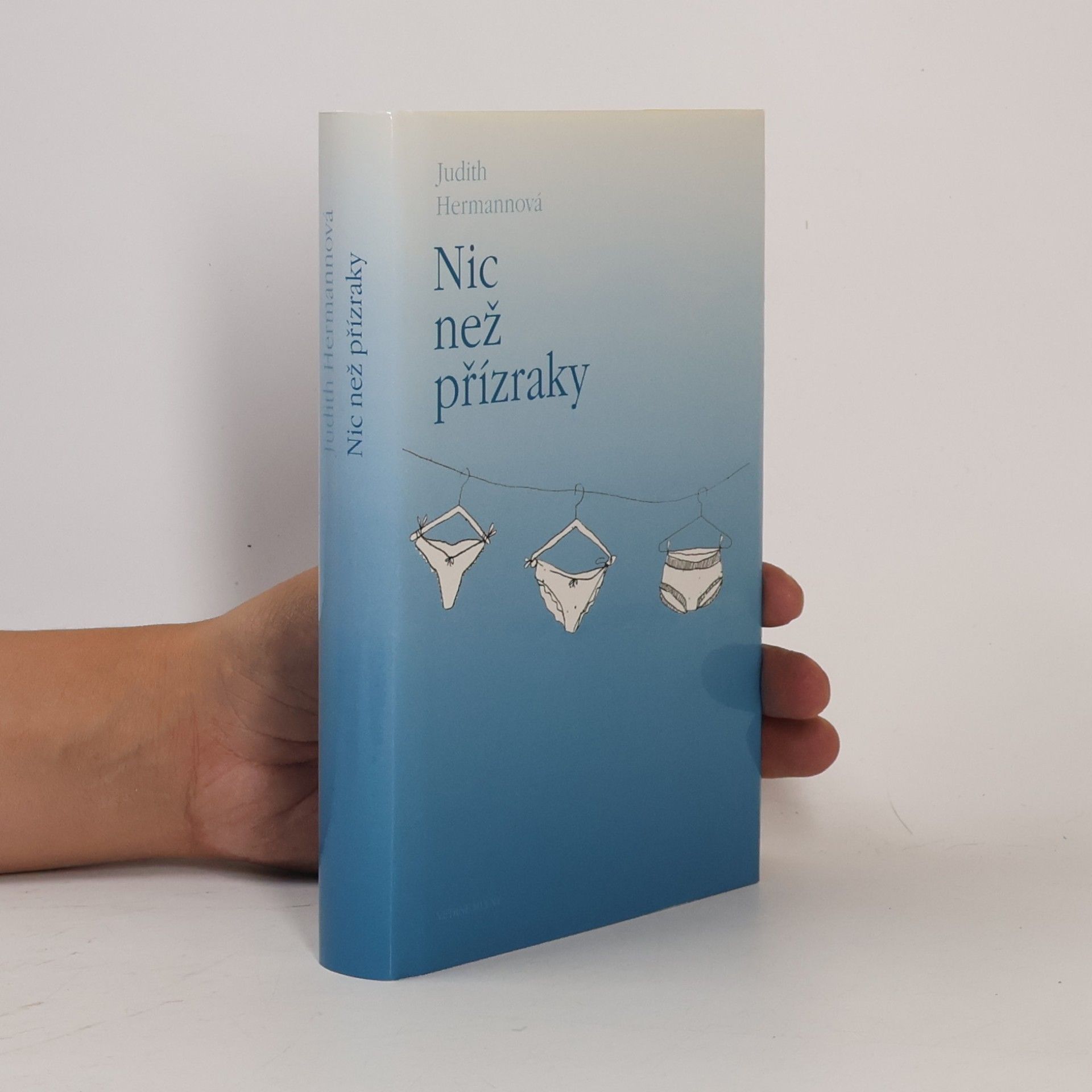 Nic než přízraky : povídky