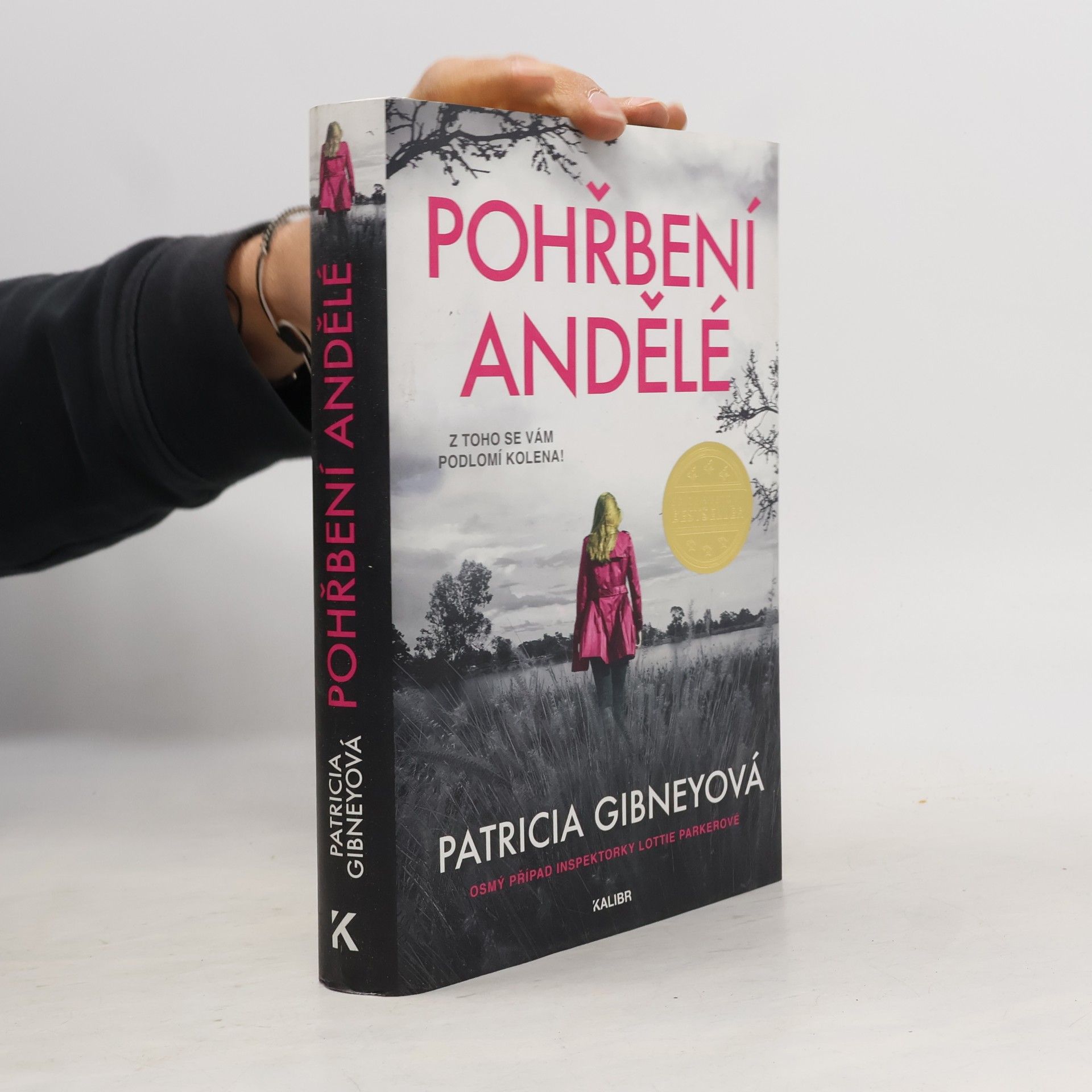 Patricia Gibney Pohřbení andělé
