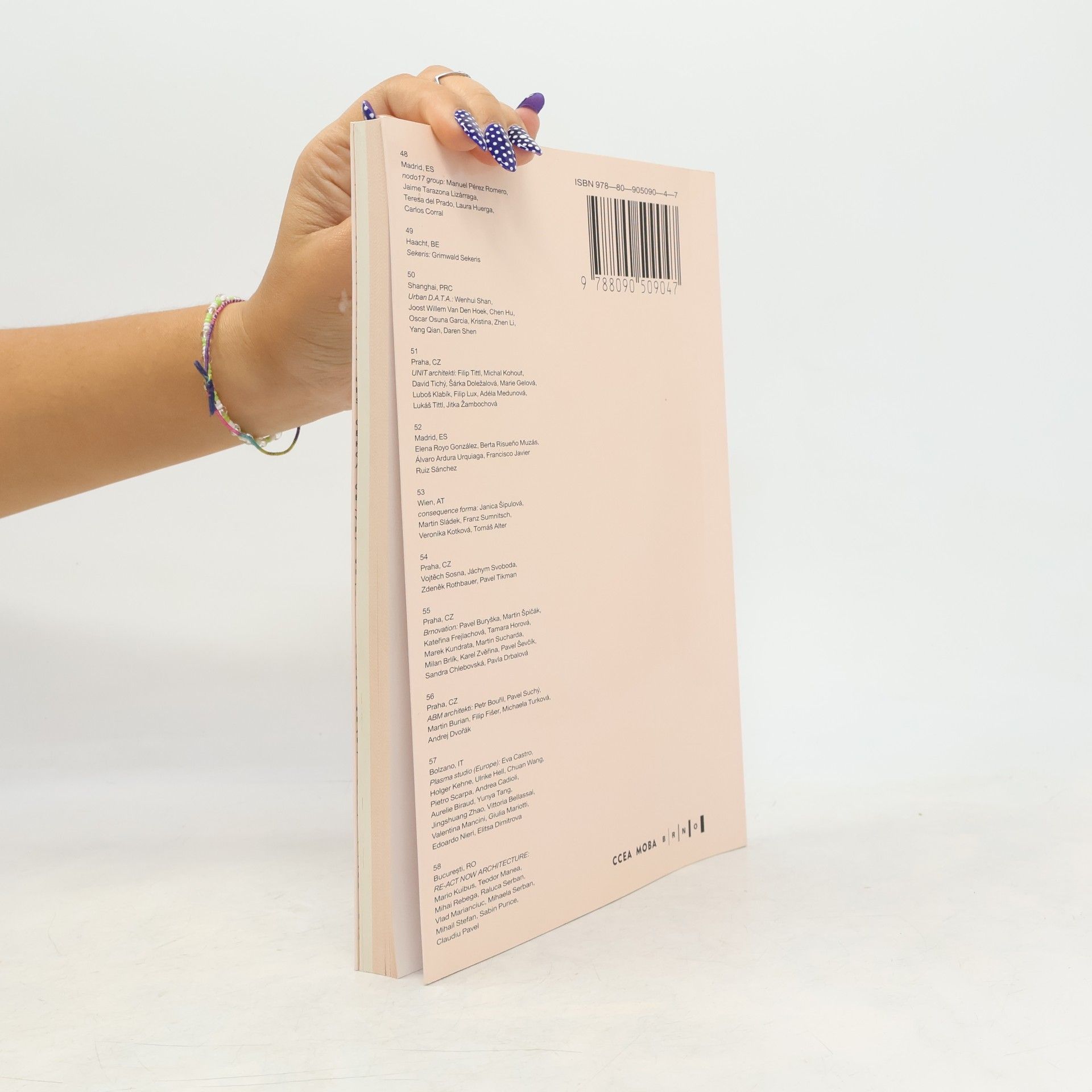 Autorenkollektiv Budoucnost centra Brna: Rozvoj hlavního nádraží a jeho okolí
