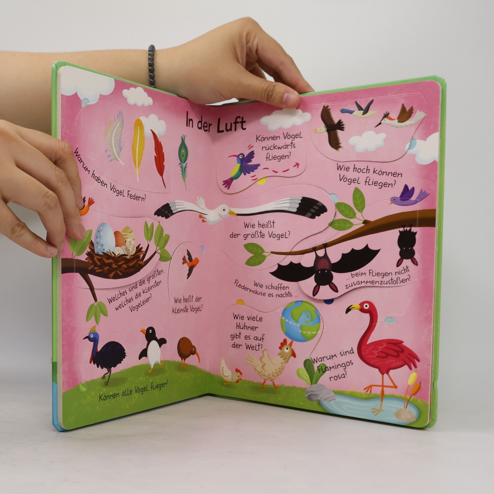 Autorenkollektiv Mein großes Antwortbuch: Tiere