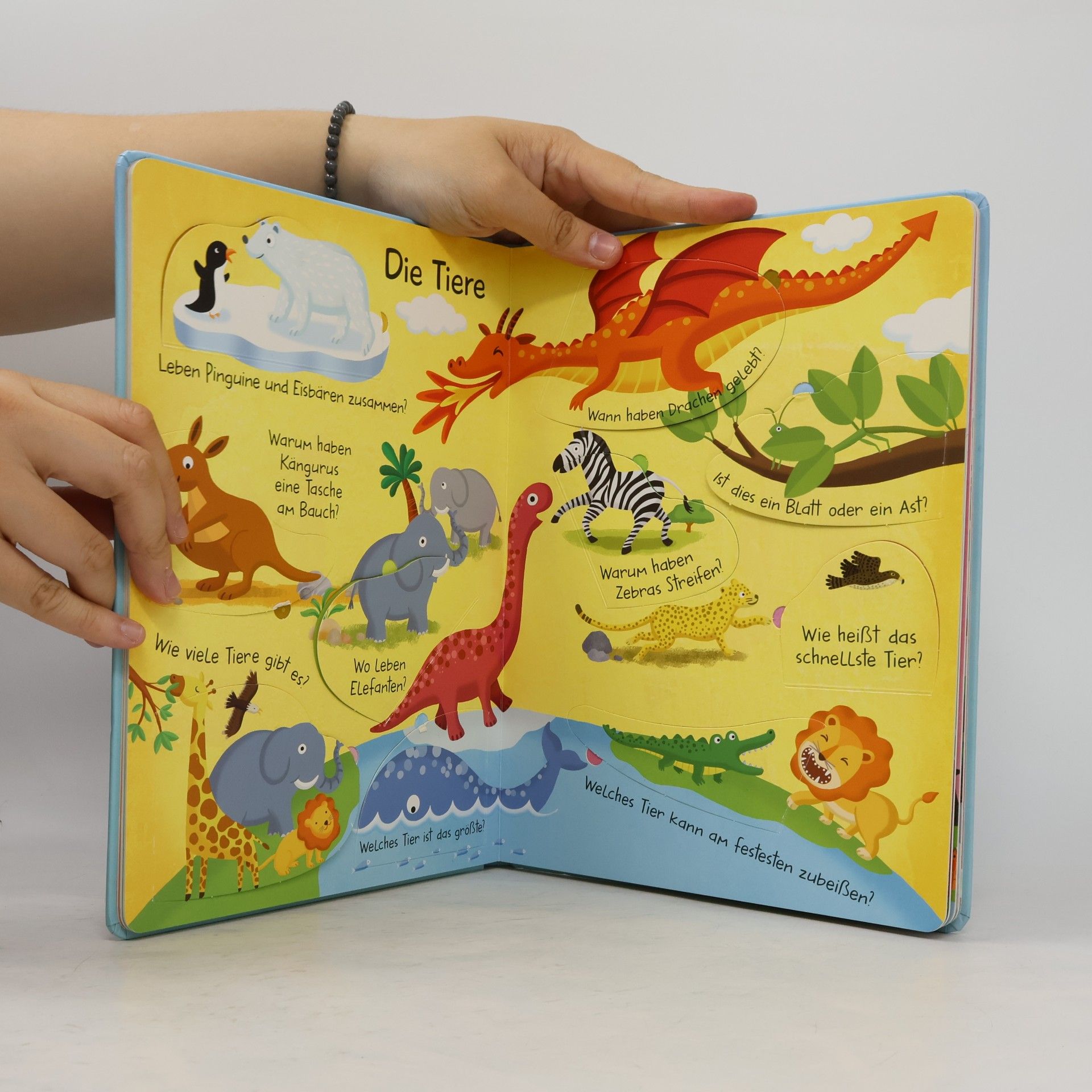 Various authors Mein großes Antwortbuch: Unsere Erde