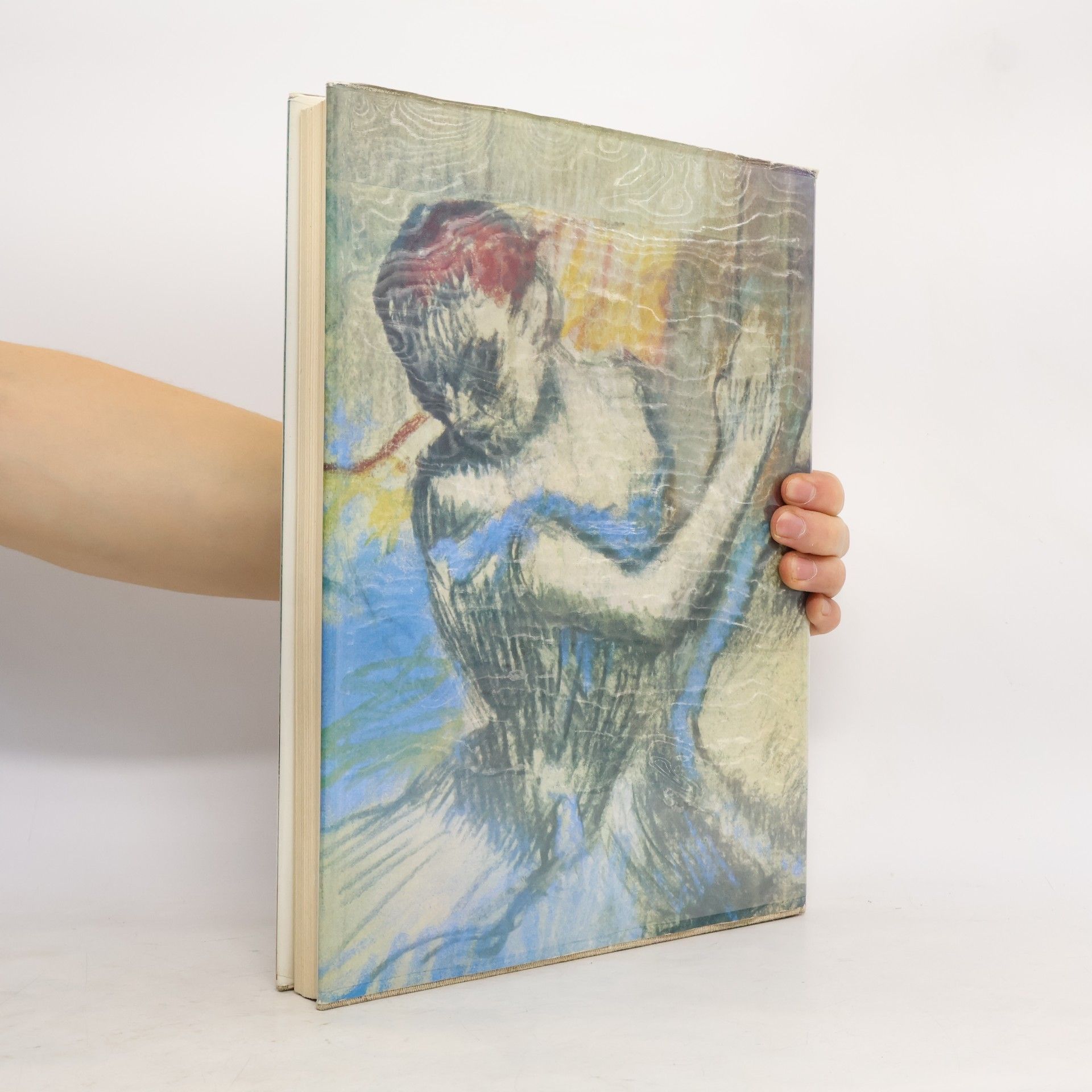 Denis Rouart Degas a Renoir. Neznámá díla