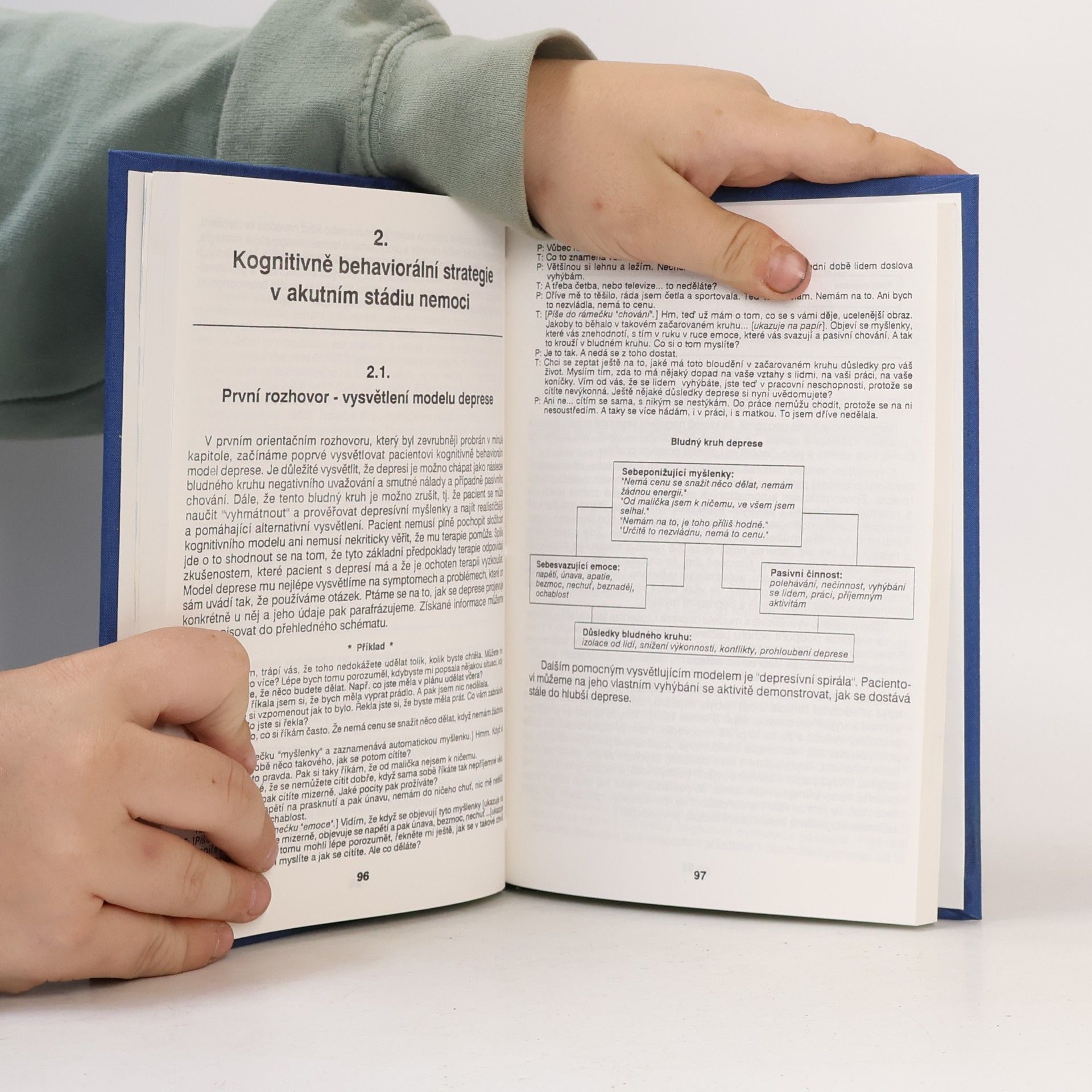 Kolektiv autorů Kognitivně-behaviorální terapie u depresií