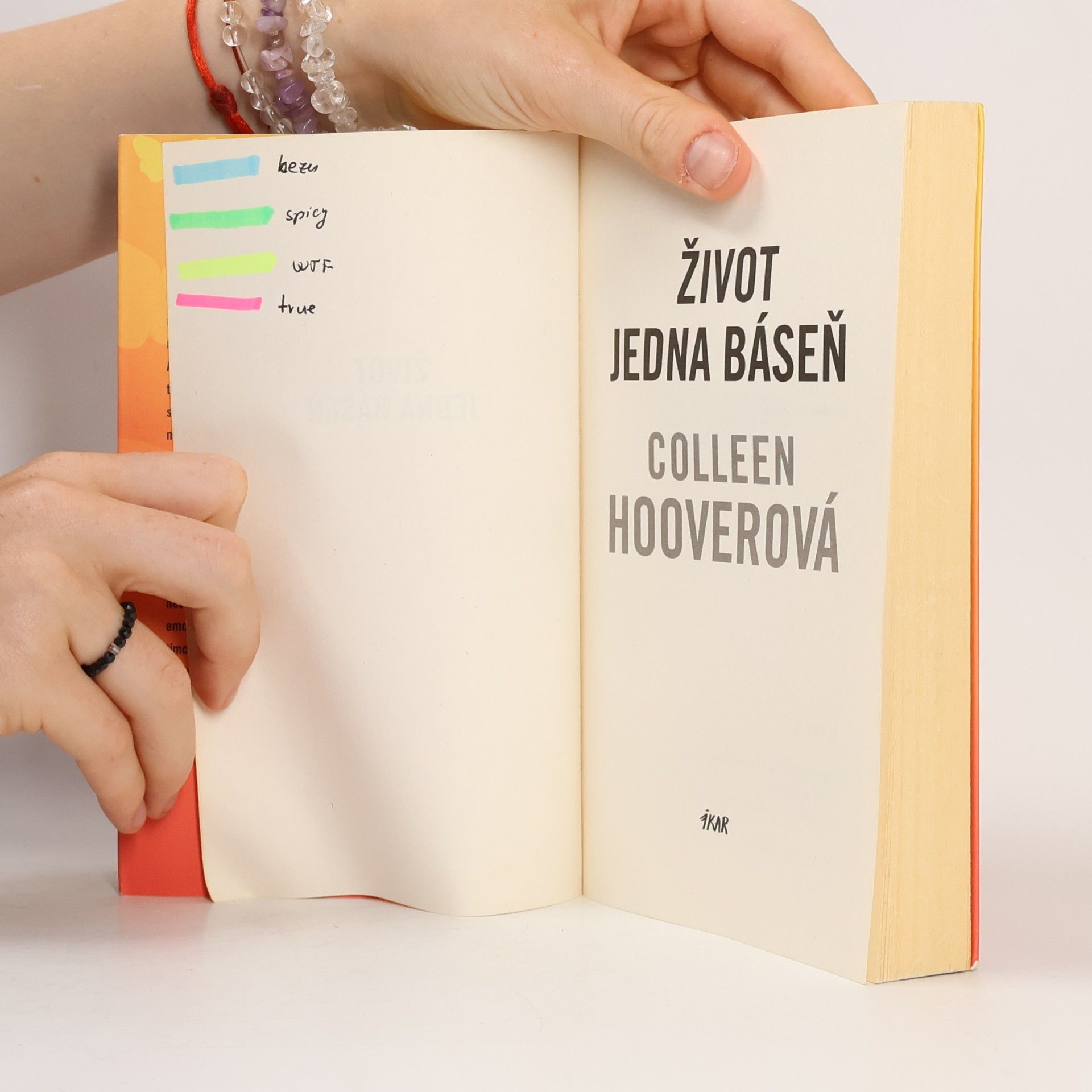 Colleen Hoover Život jedna báseň