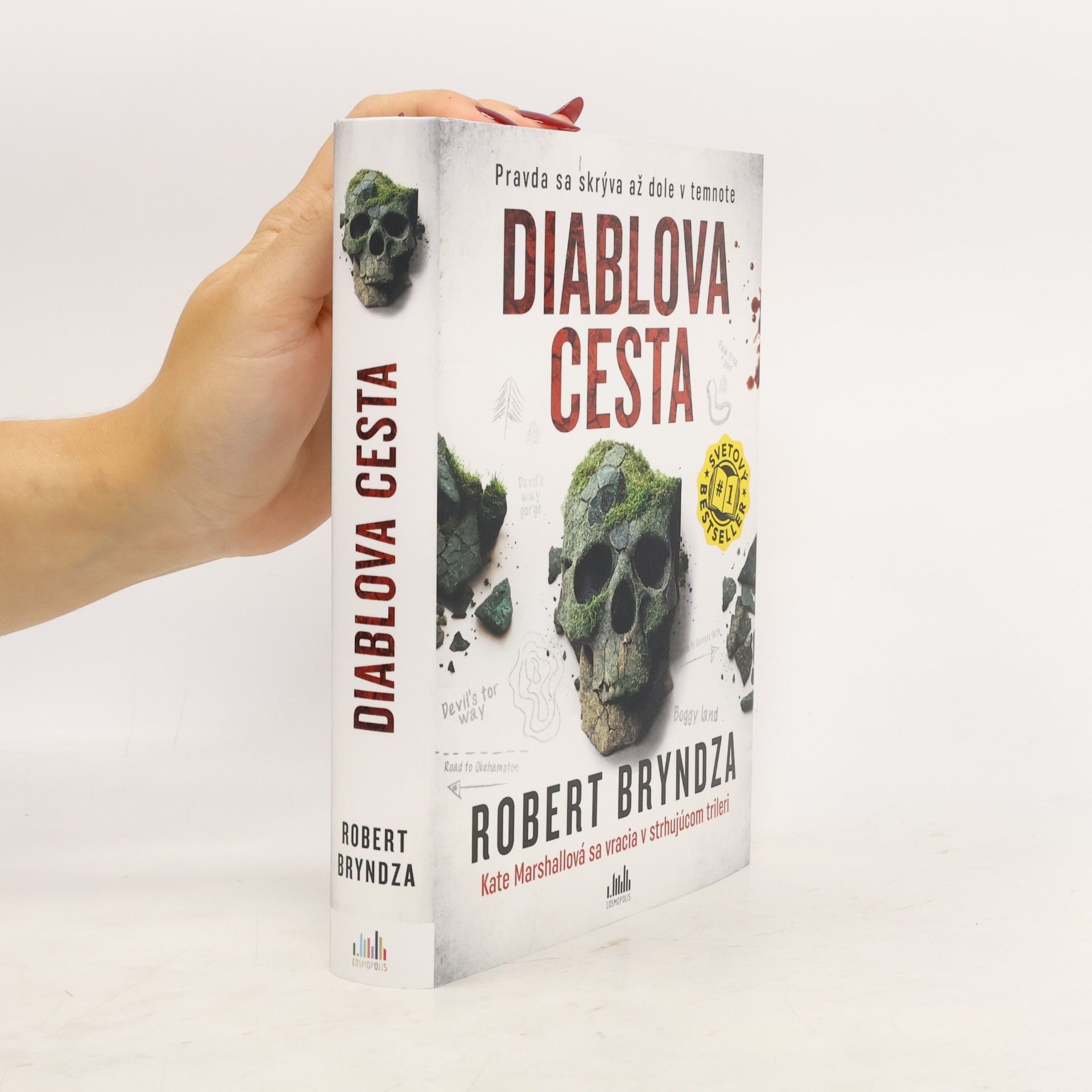 Robert Bryndza Diablova cesta