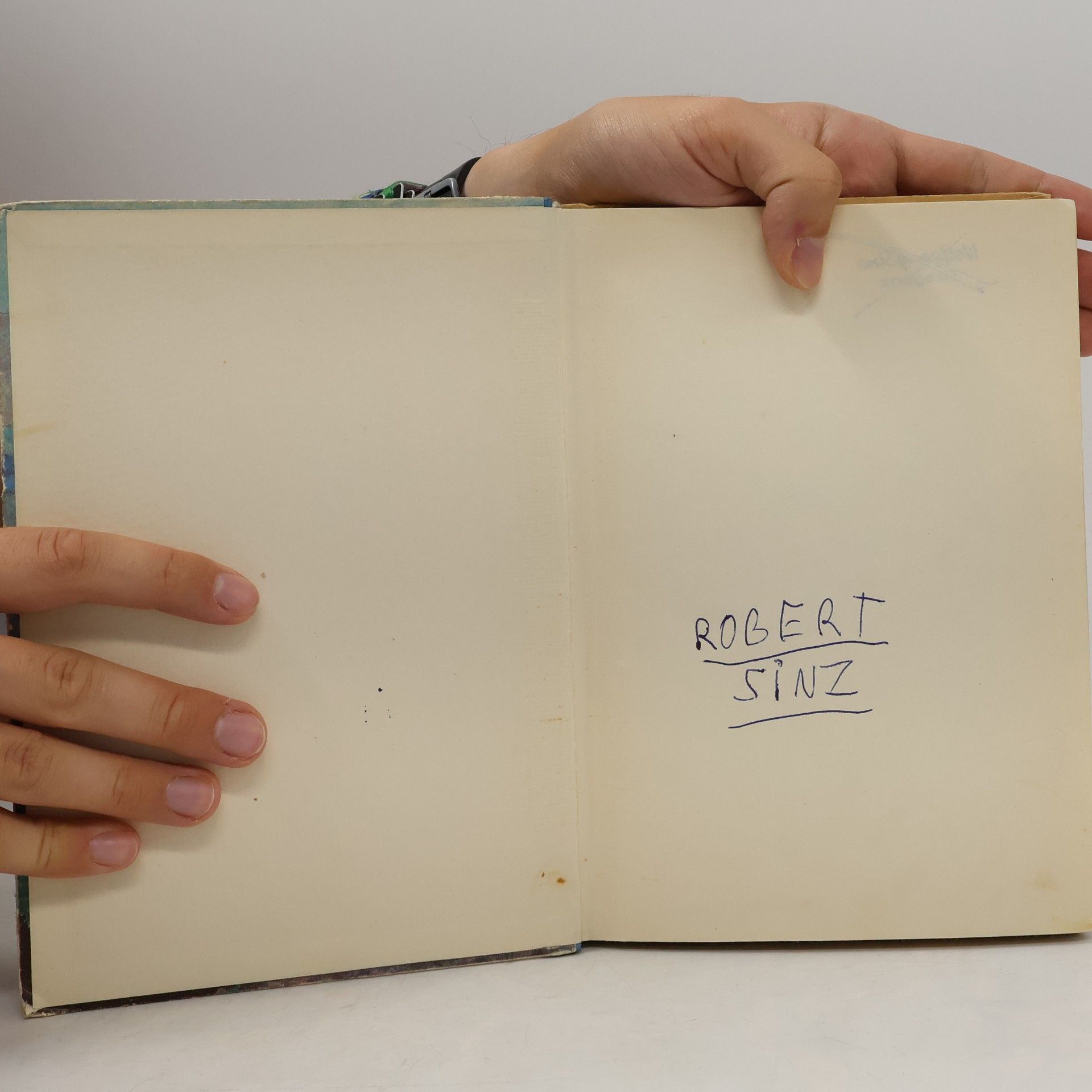 Josephine Siebe Kasperles Schweizerreise