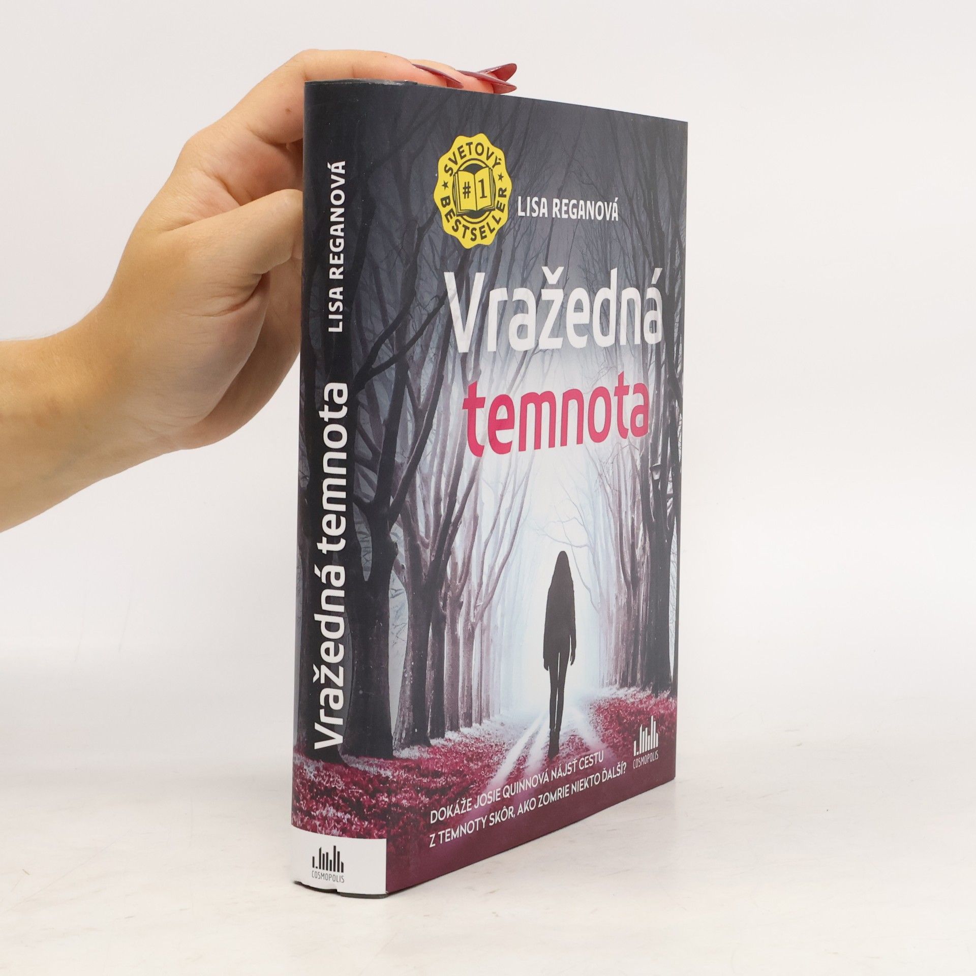 Lisa Regan Vražedná temnota