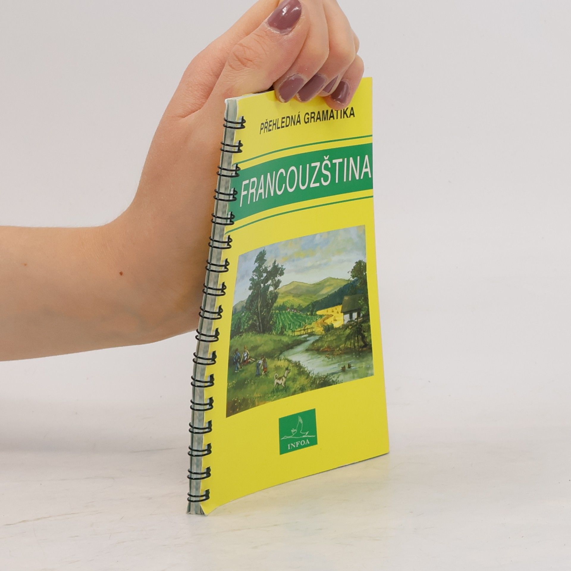 Jana Navrátilová Francouzština: Přehledná gramatika