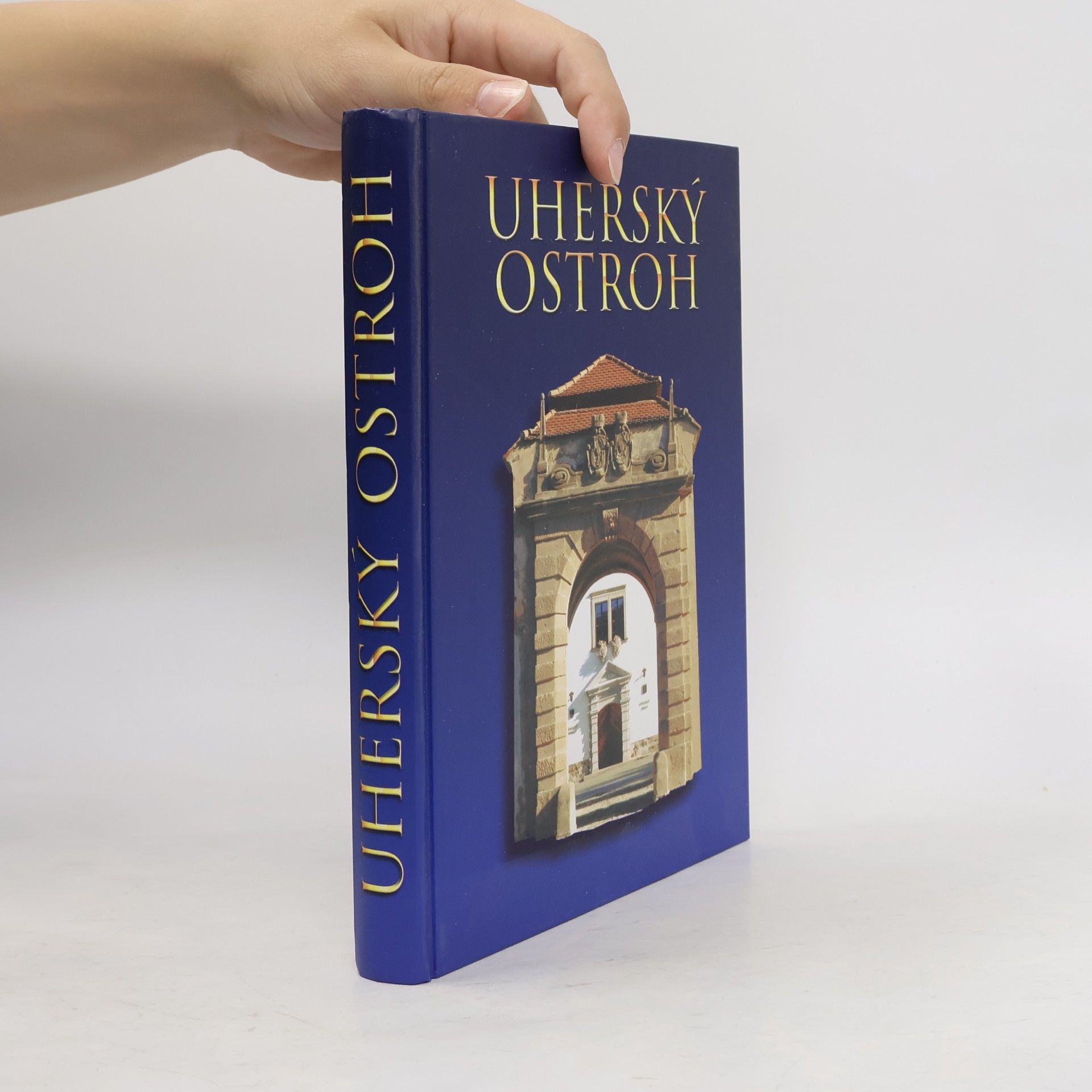 Kolektiv autorů Uherský Ostroh
