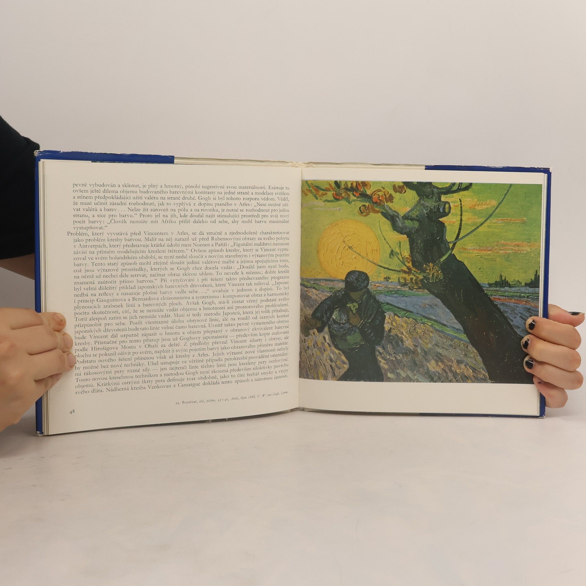 Miroslav Lamač Vincent van Gogh