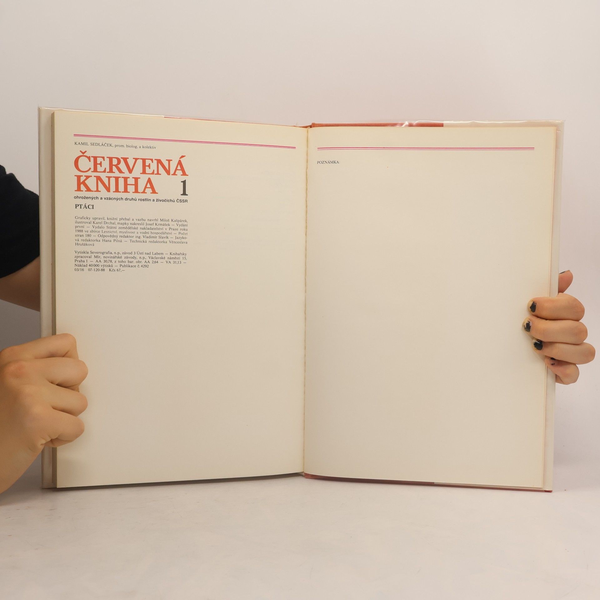 Kamil Sedláček Červená kniha 1. Ptáci