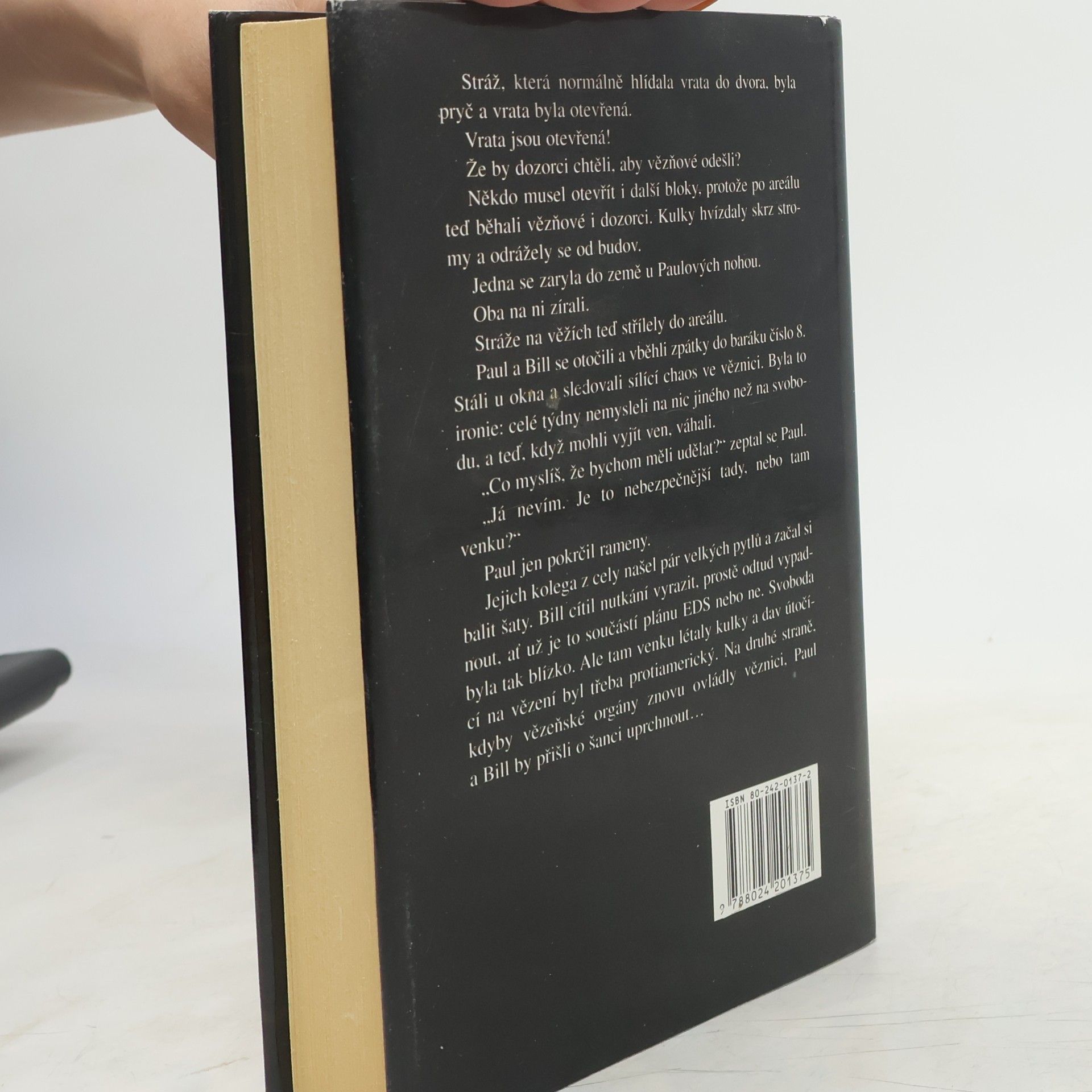 Ken Follett Na křídlech orlů