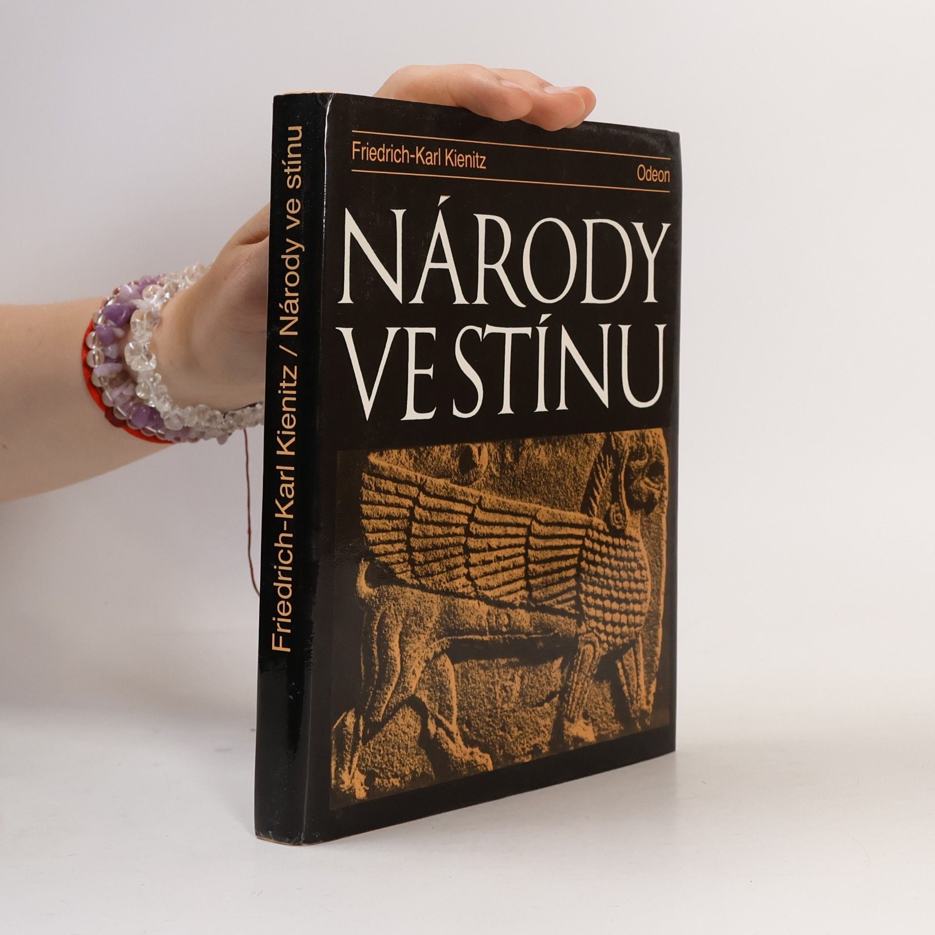 Friedrich Karl Kienitz Národy ve stínu