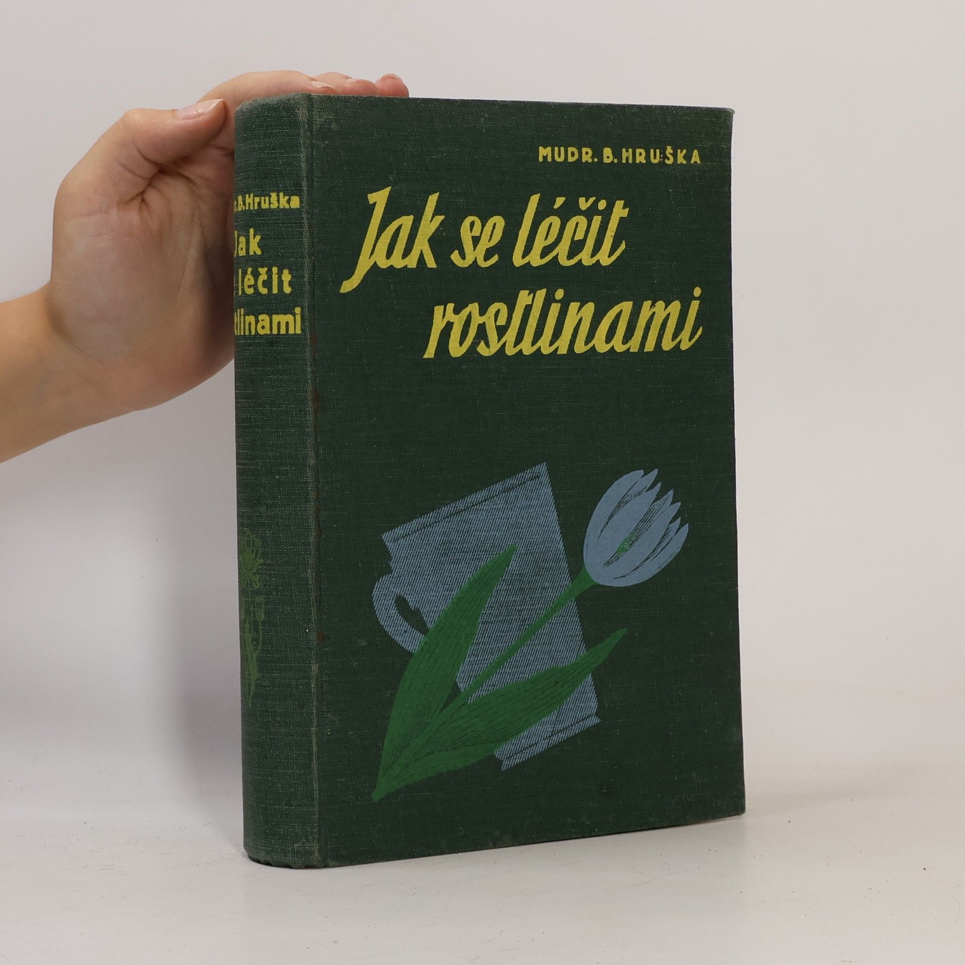 Blahoslav Hruška Jak se léčit rostlinami