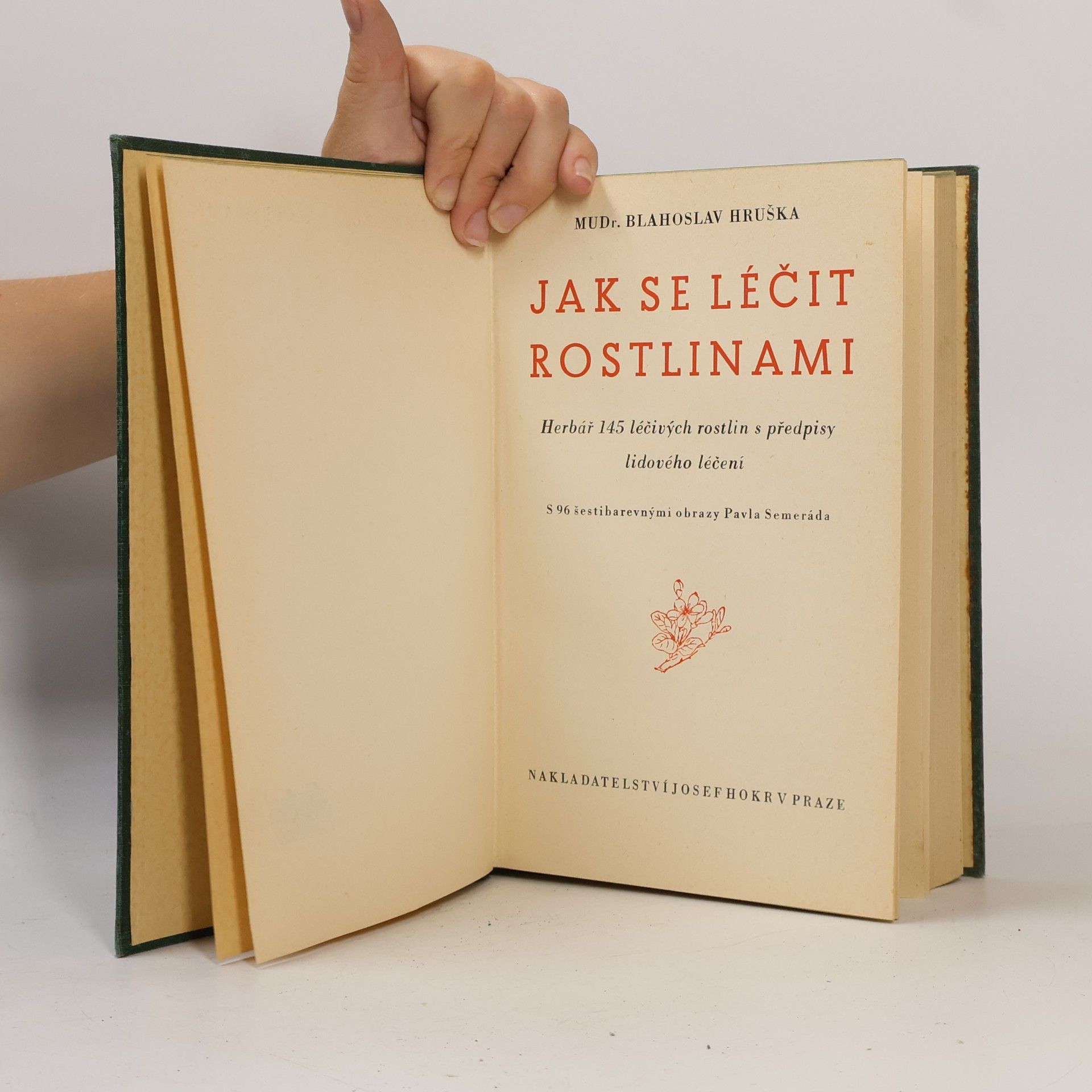 Blahoslav Hruška Jak se léčit rostlinami