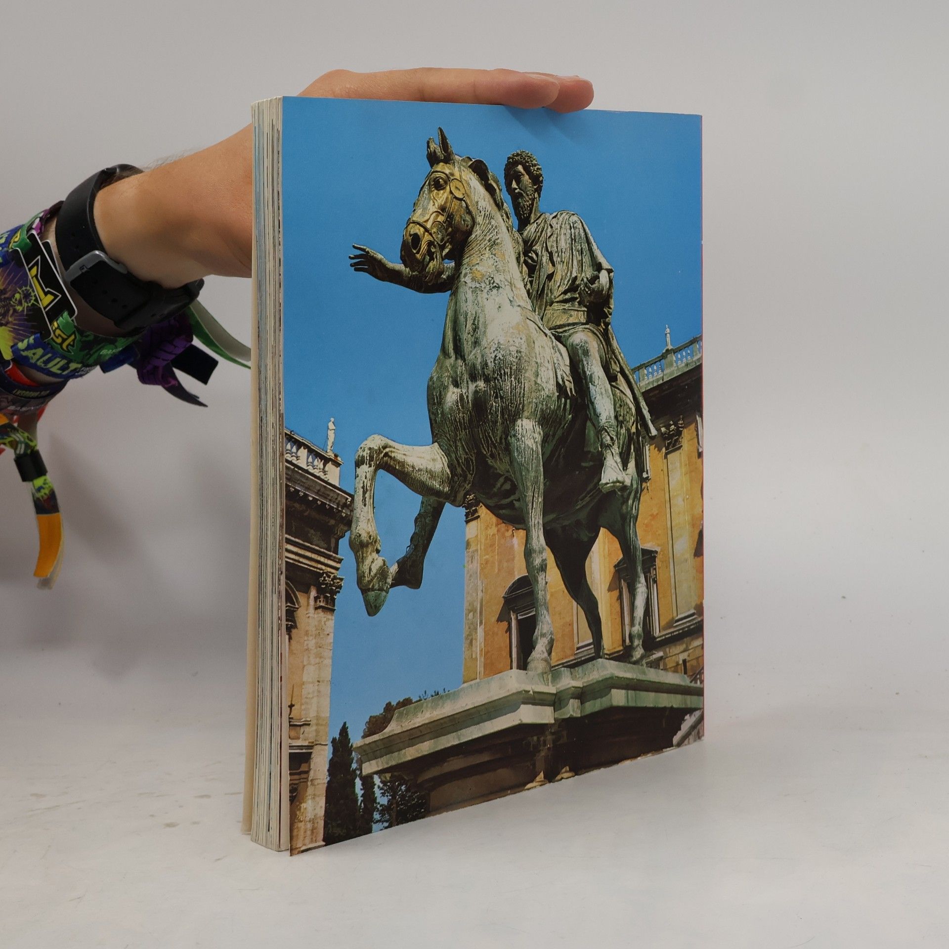 Eugenio Pucci All Rome