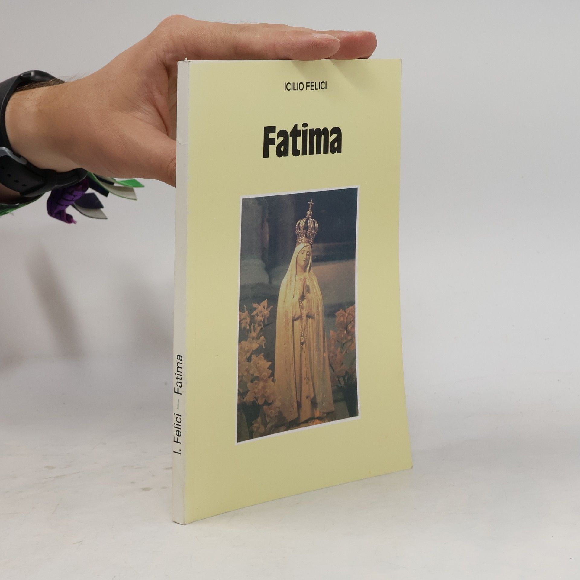 Icilio Felici Fatima
